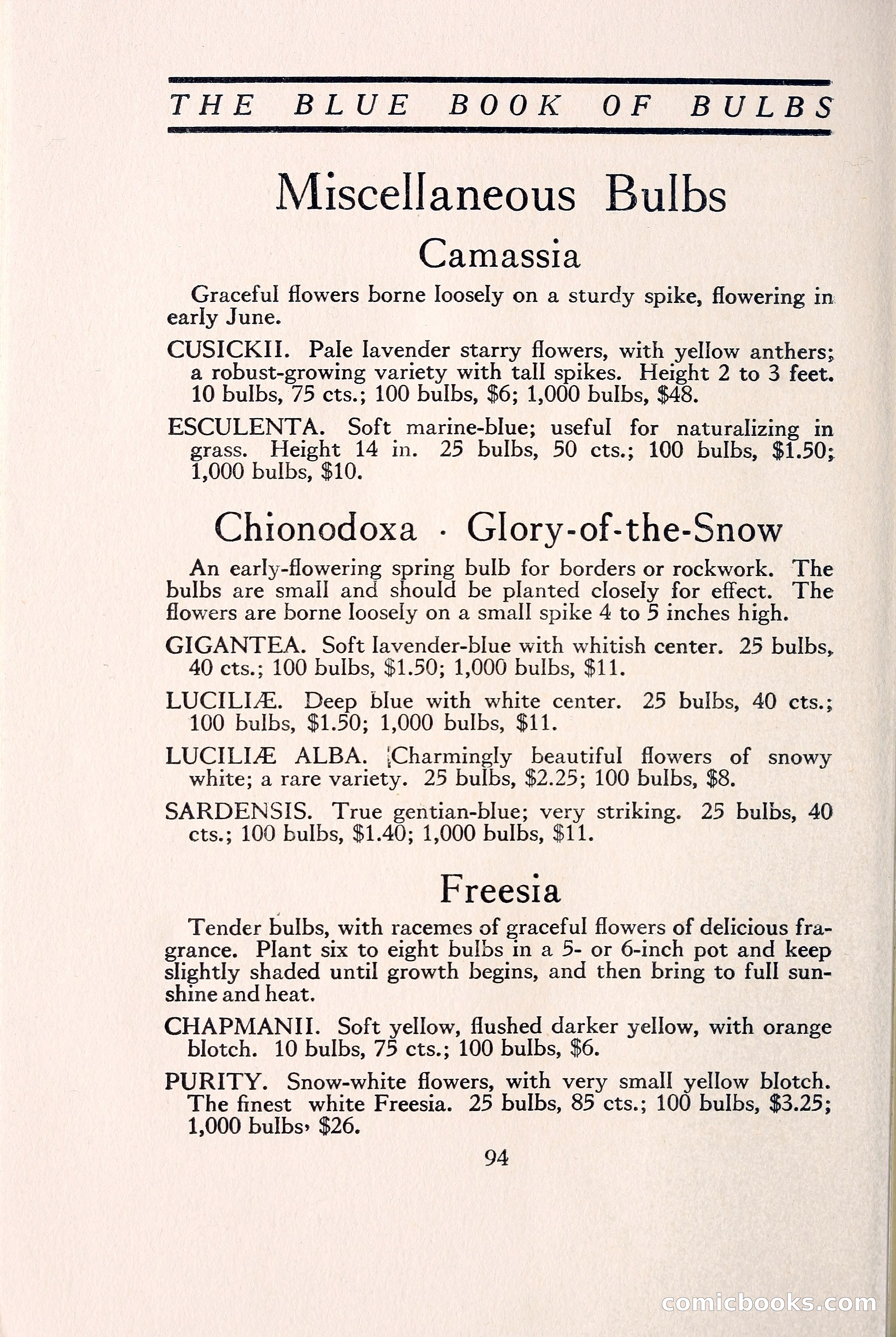 Blue Book of Bulbs — page 103 of 109