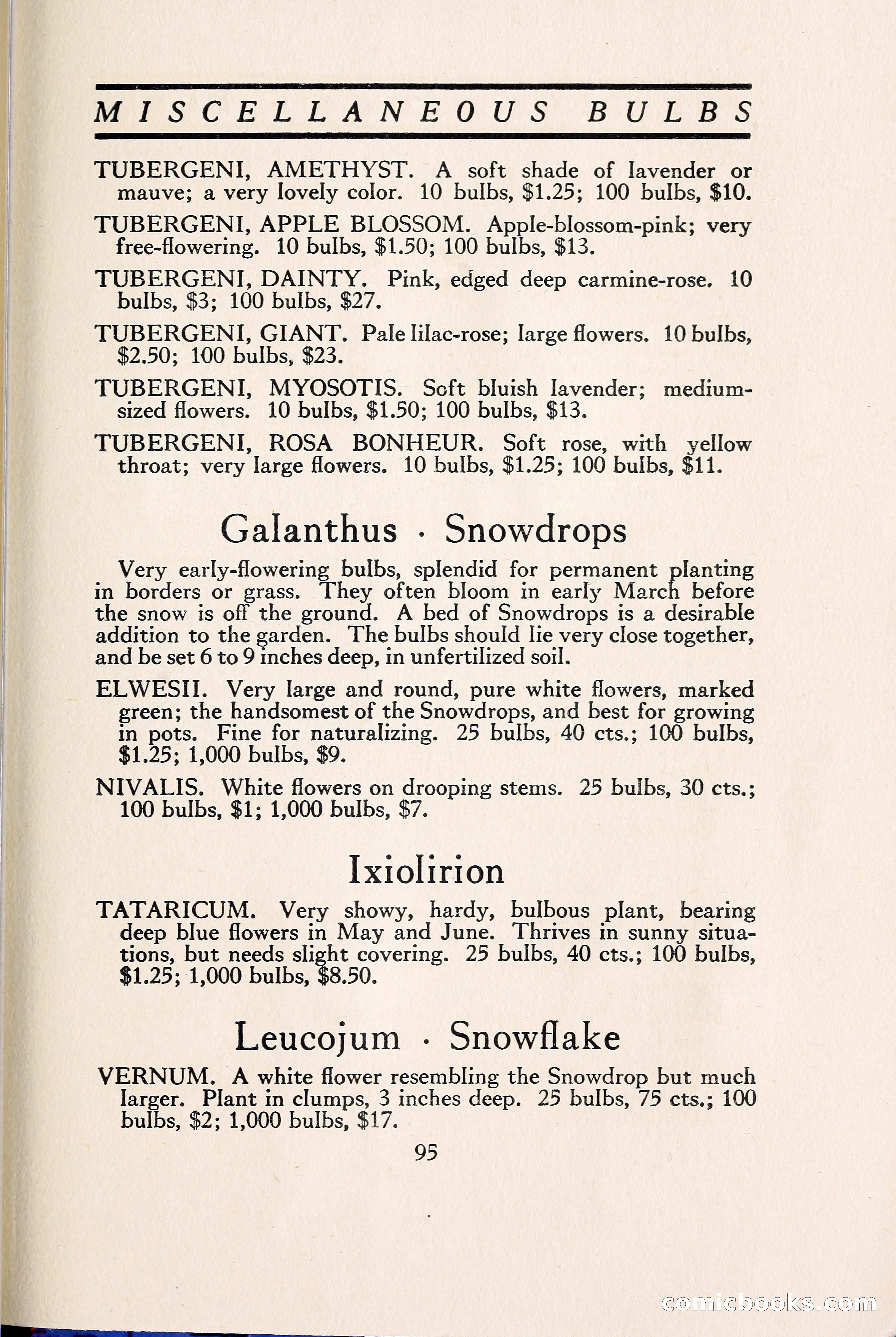 Blue Book of Bulbs — page 104 of 109