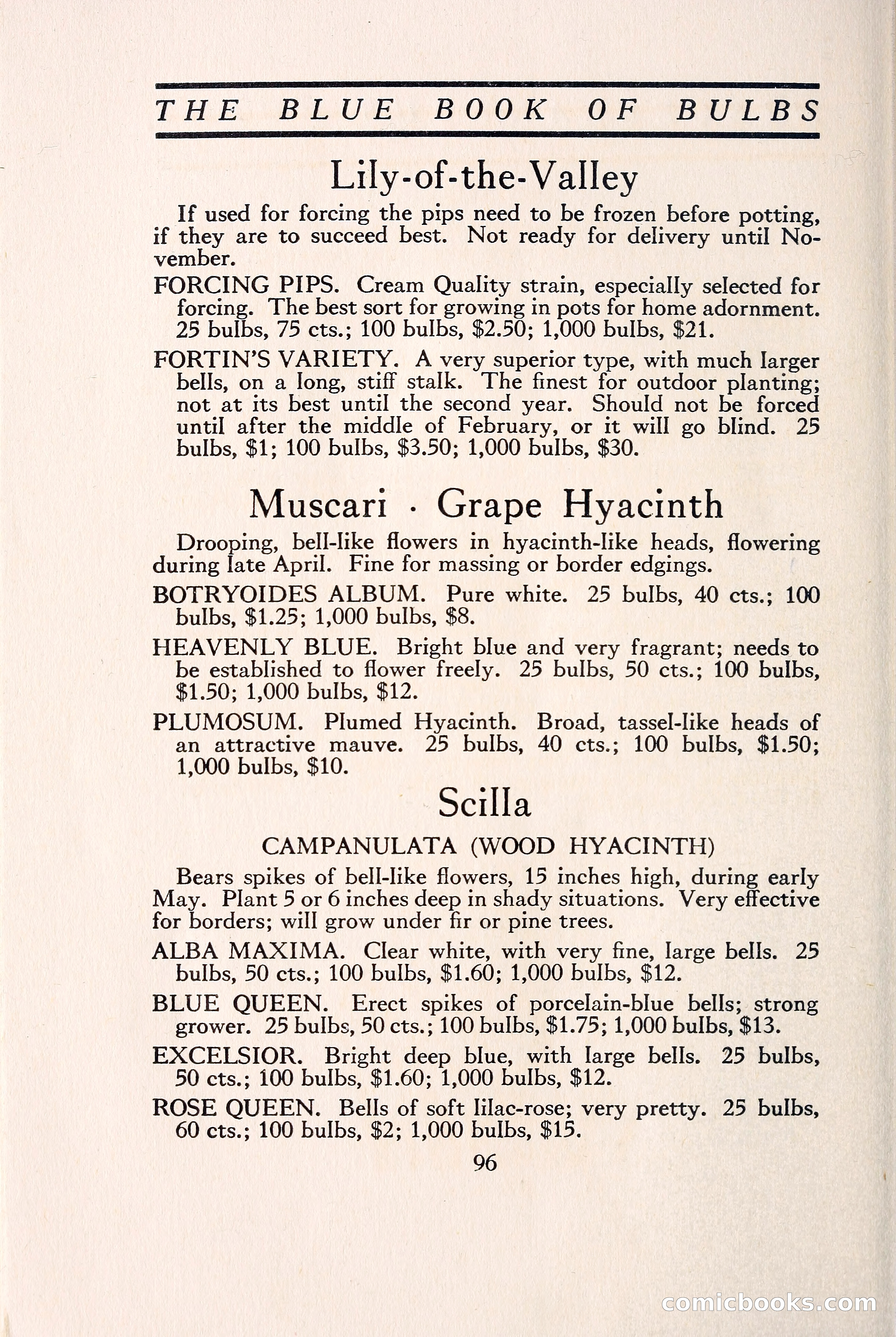 Blue Book of Bulbs — page 105 of 109