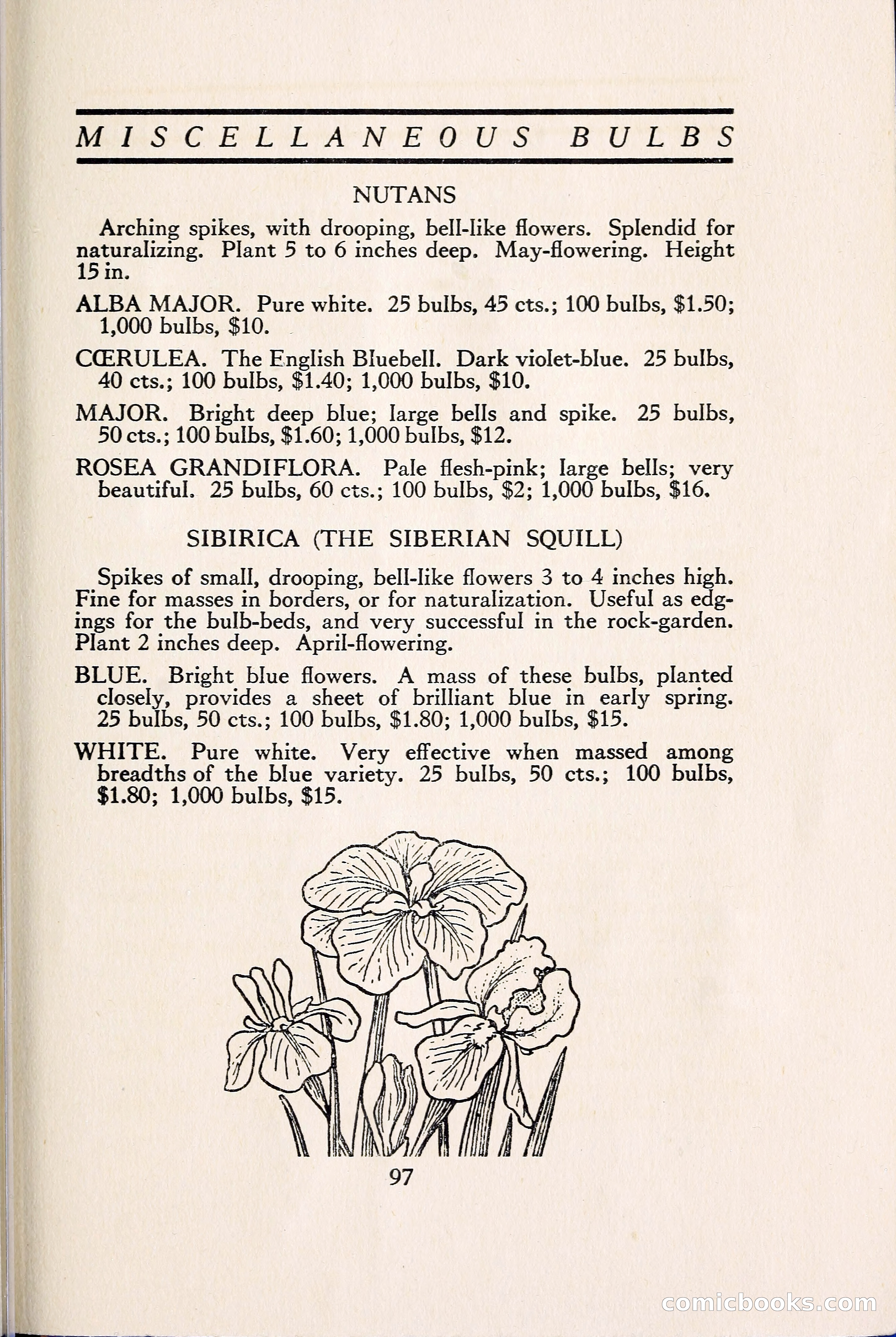 Blue Book of Bulbs — page 106 of 109