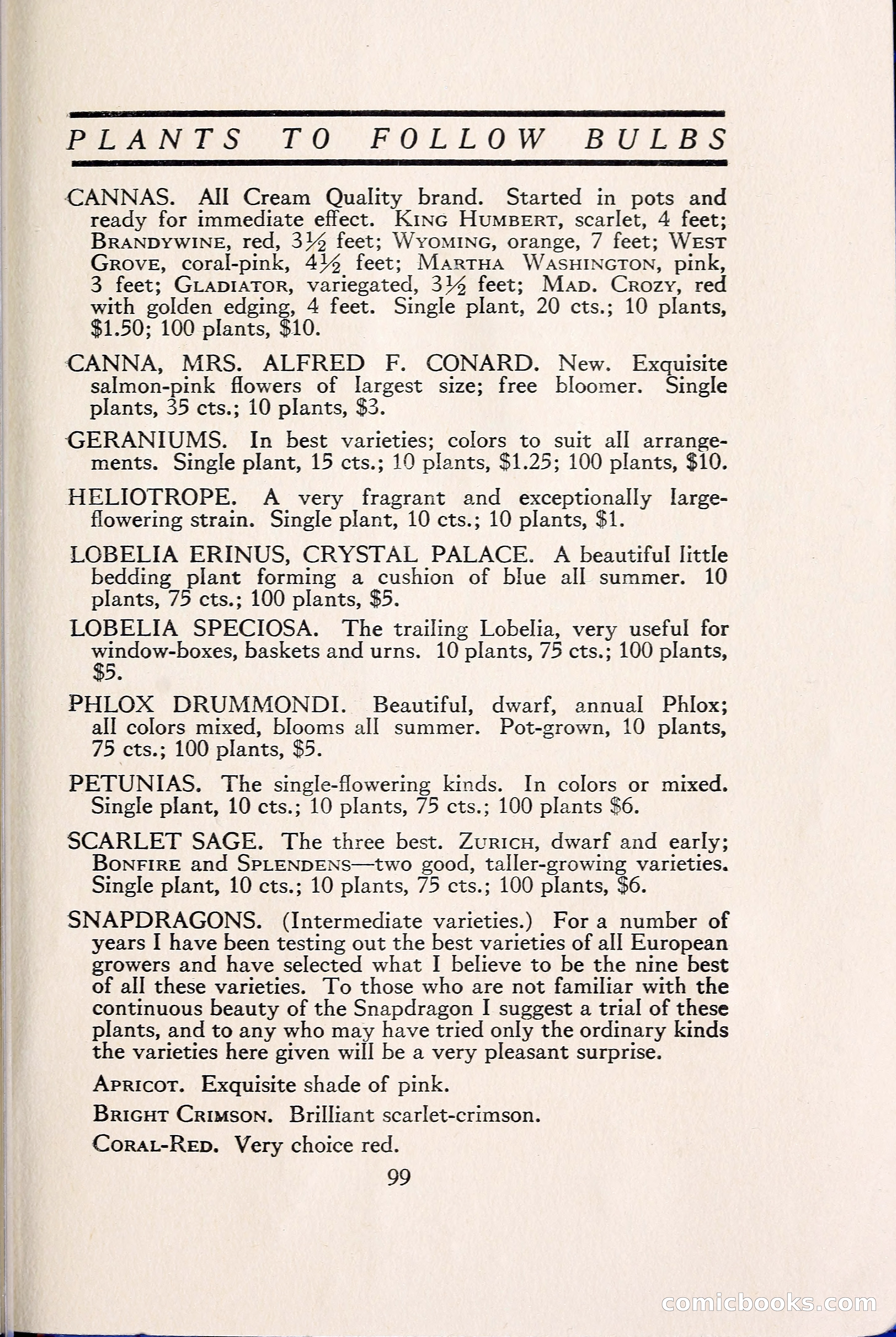 Blue Book of Bulbs — page 108 of 109