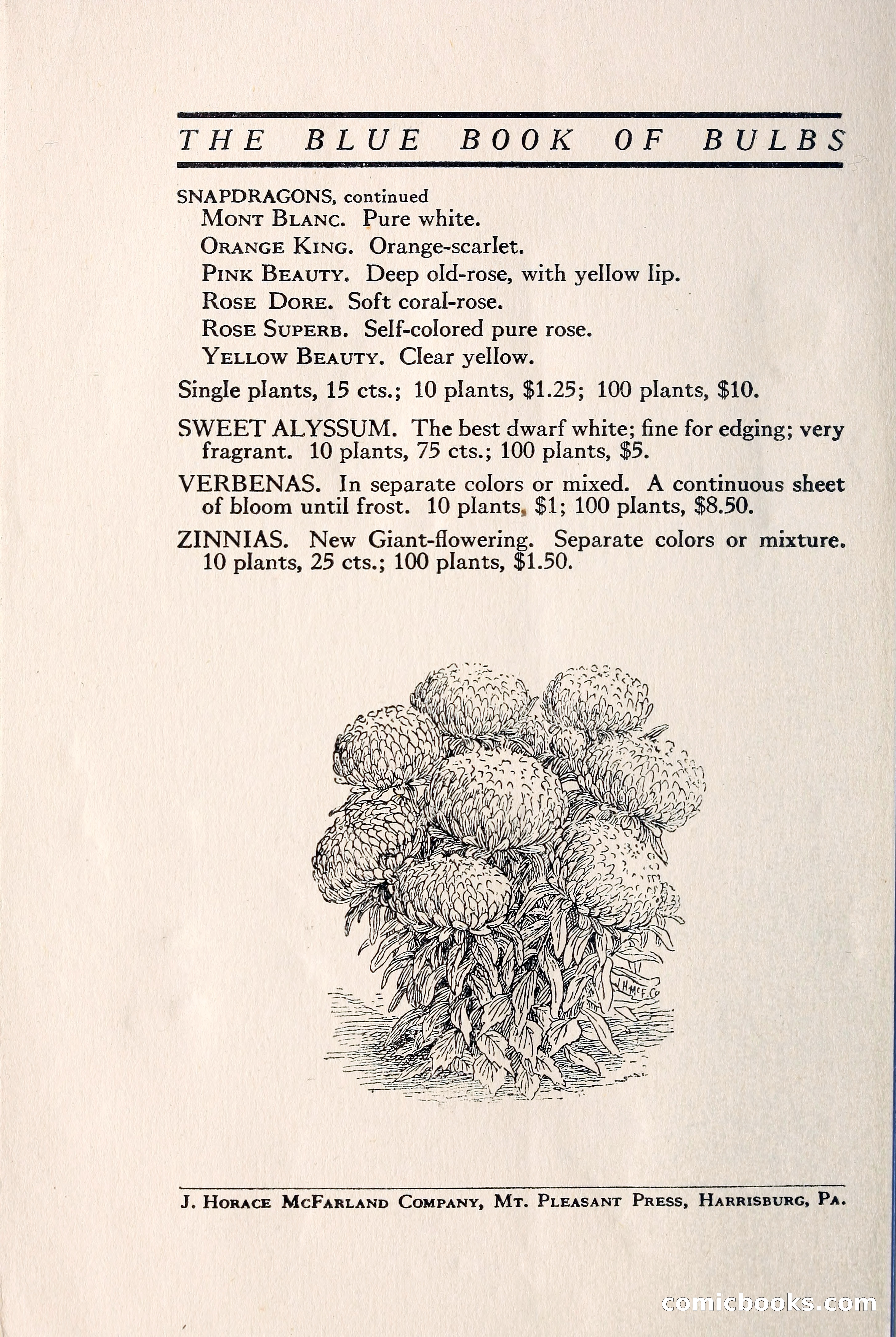 Blue Book of Bulbs — page 109 of 109