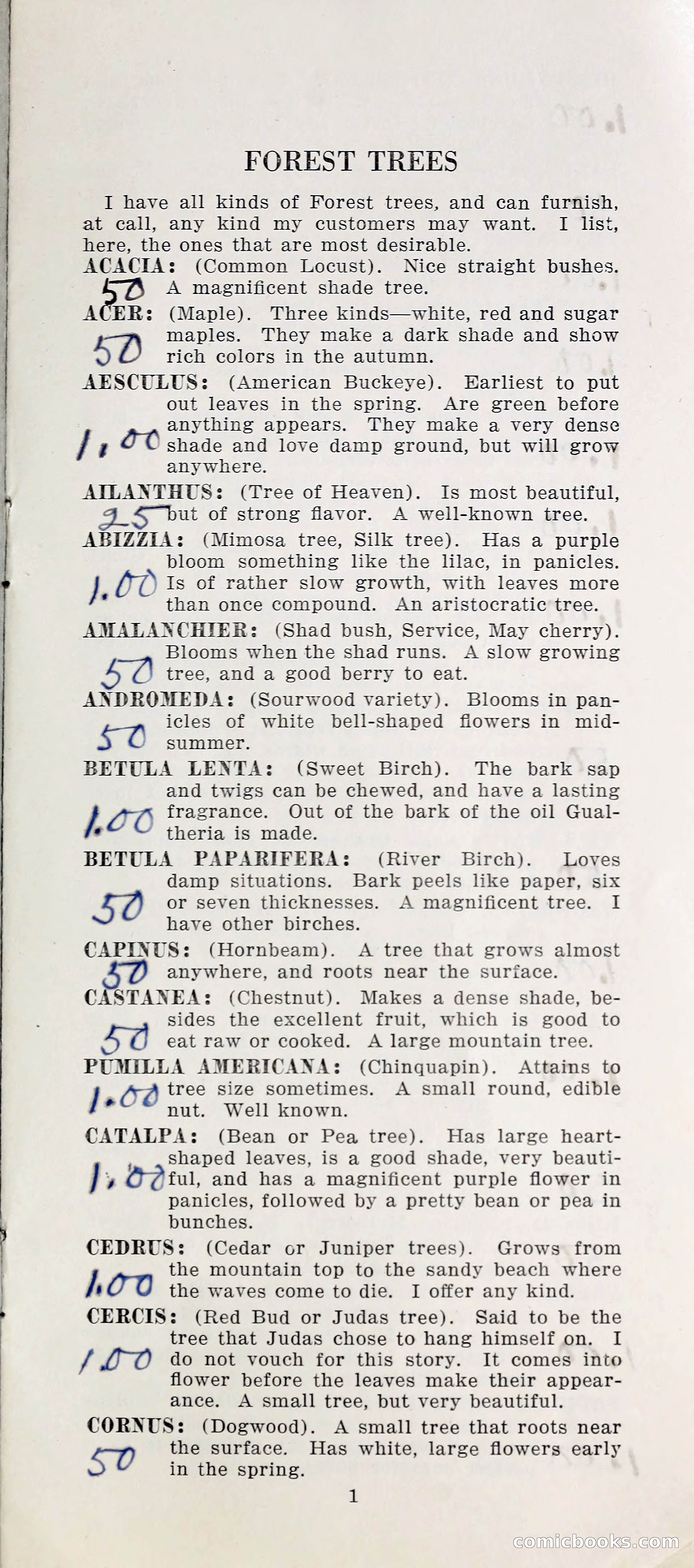Nurseries in the Shadow of the Black Mountain — page 6 of 15