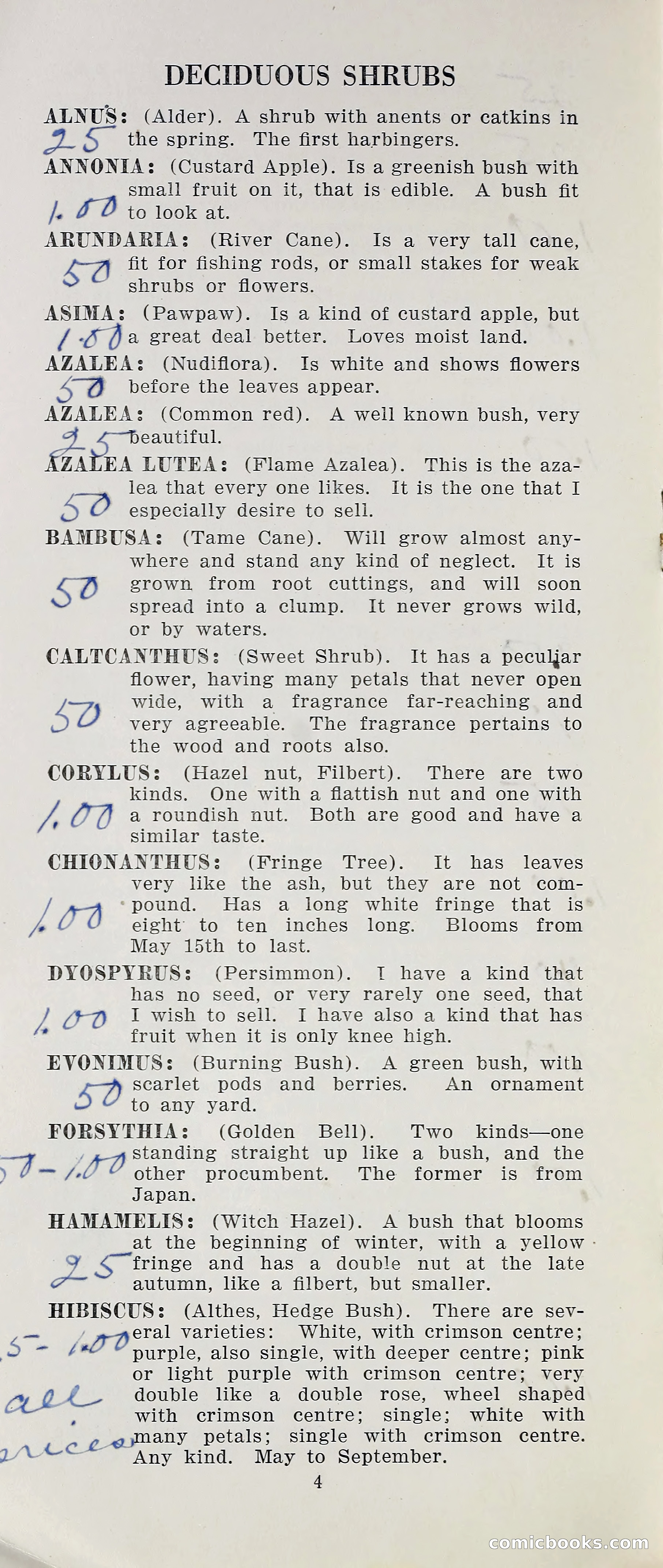 Nurseries in the Shadow of the Black Mountain — page 11 of 15