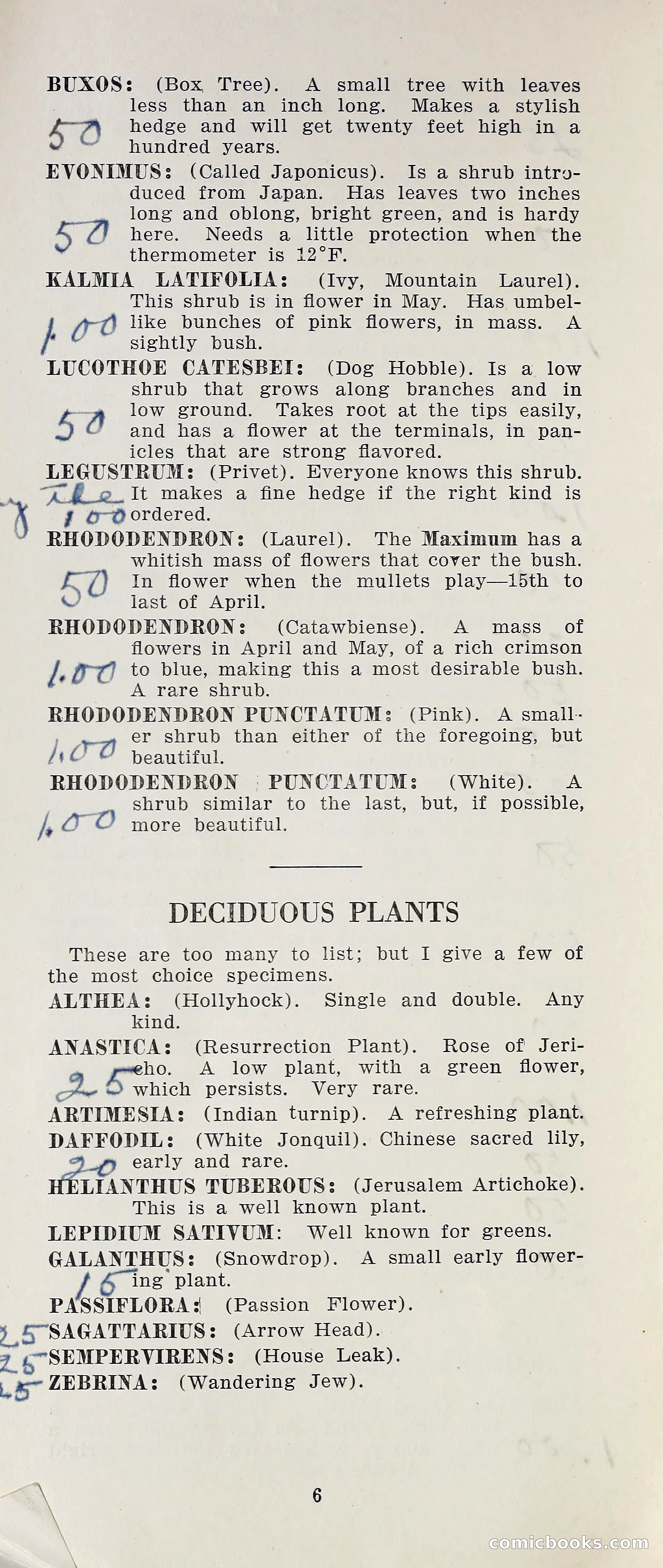 Nurseries in the Shadow of the Black Mountain — page 13 of 15