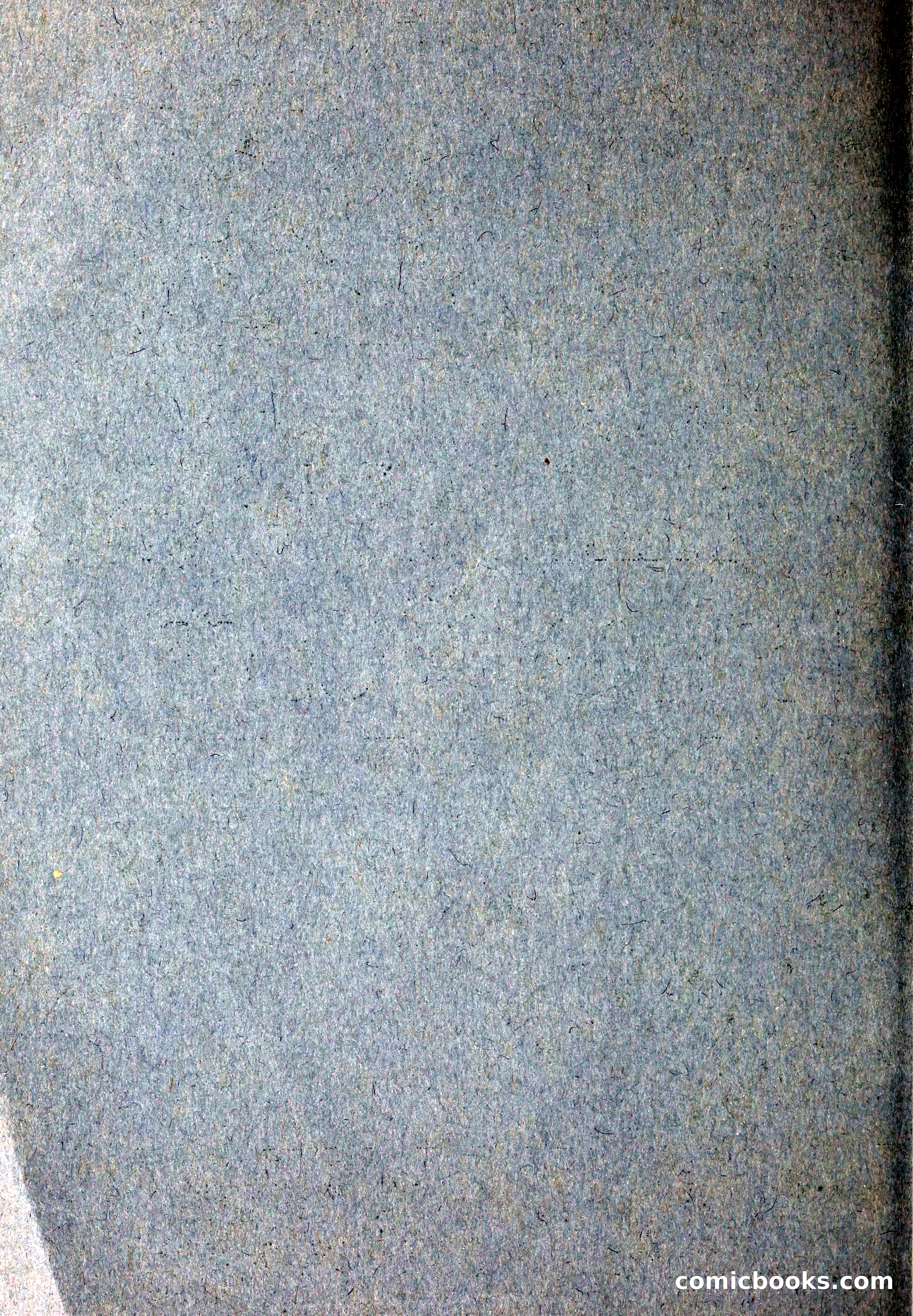 Blue Book of Flower Seeds and Gladioli — page 5 of 61