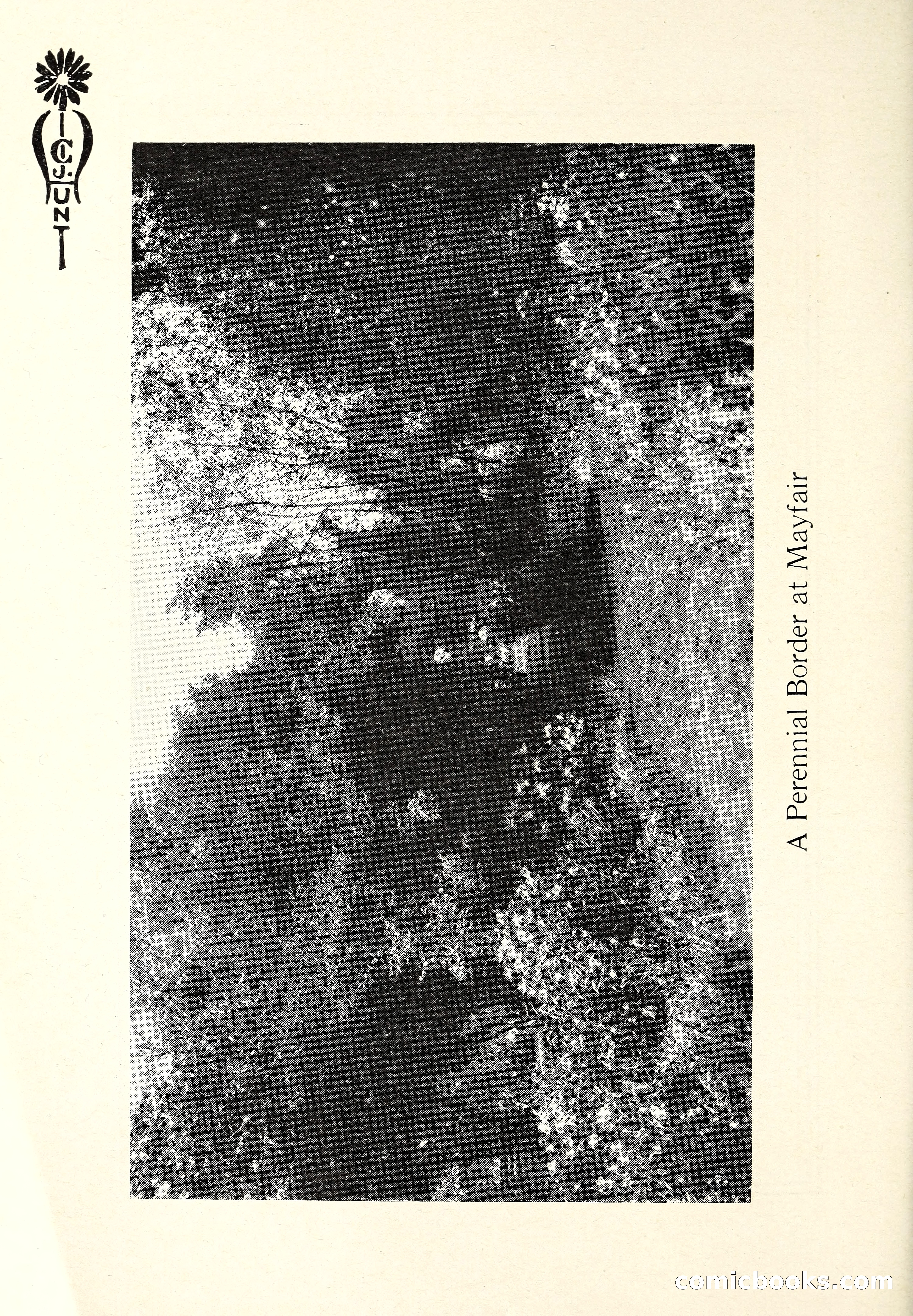Blue Book of Flower Seeds and Gladioli — page 7 of 61