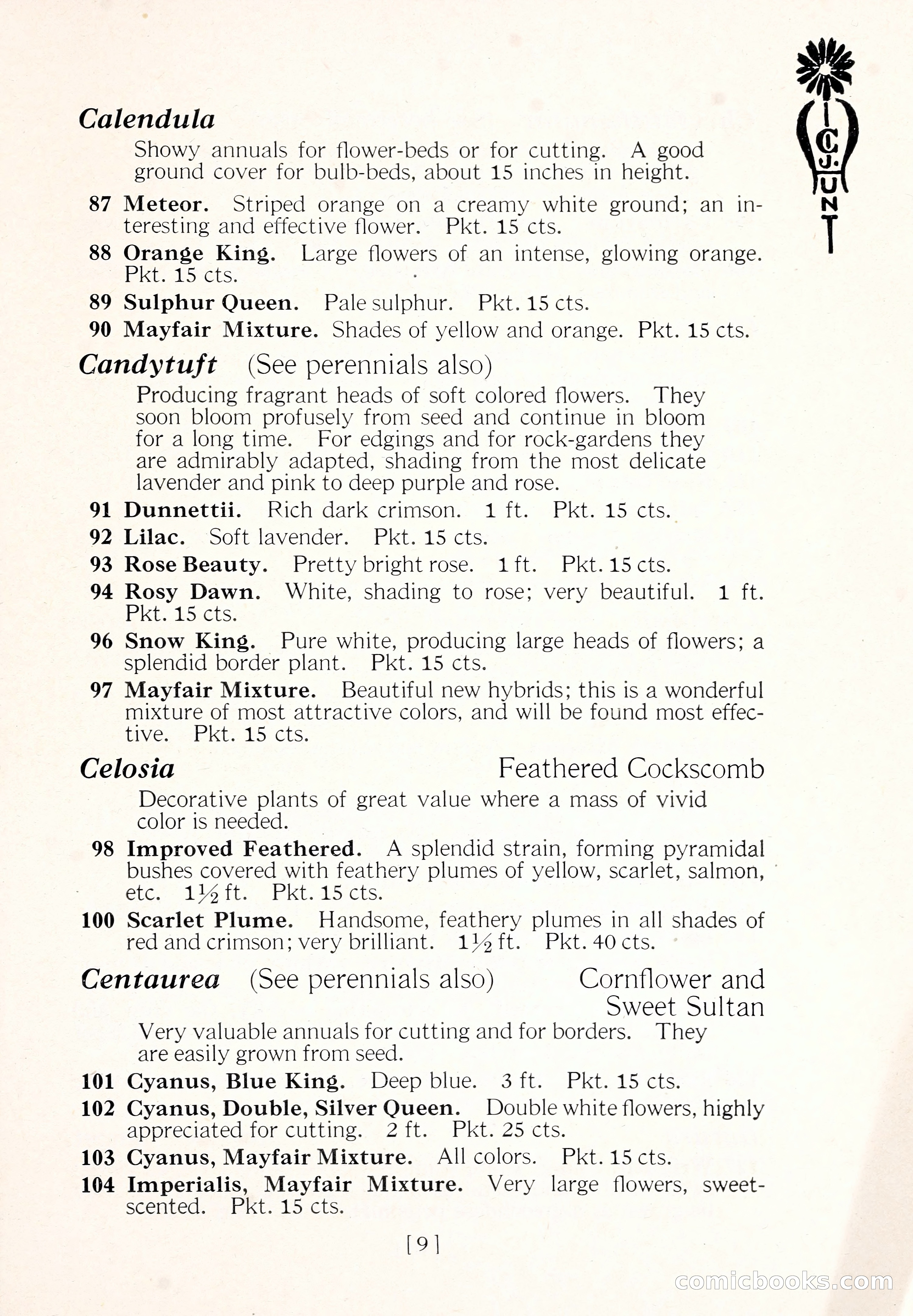Blue Book of Flower Seeds and Gladioli — page 14 of 61