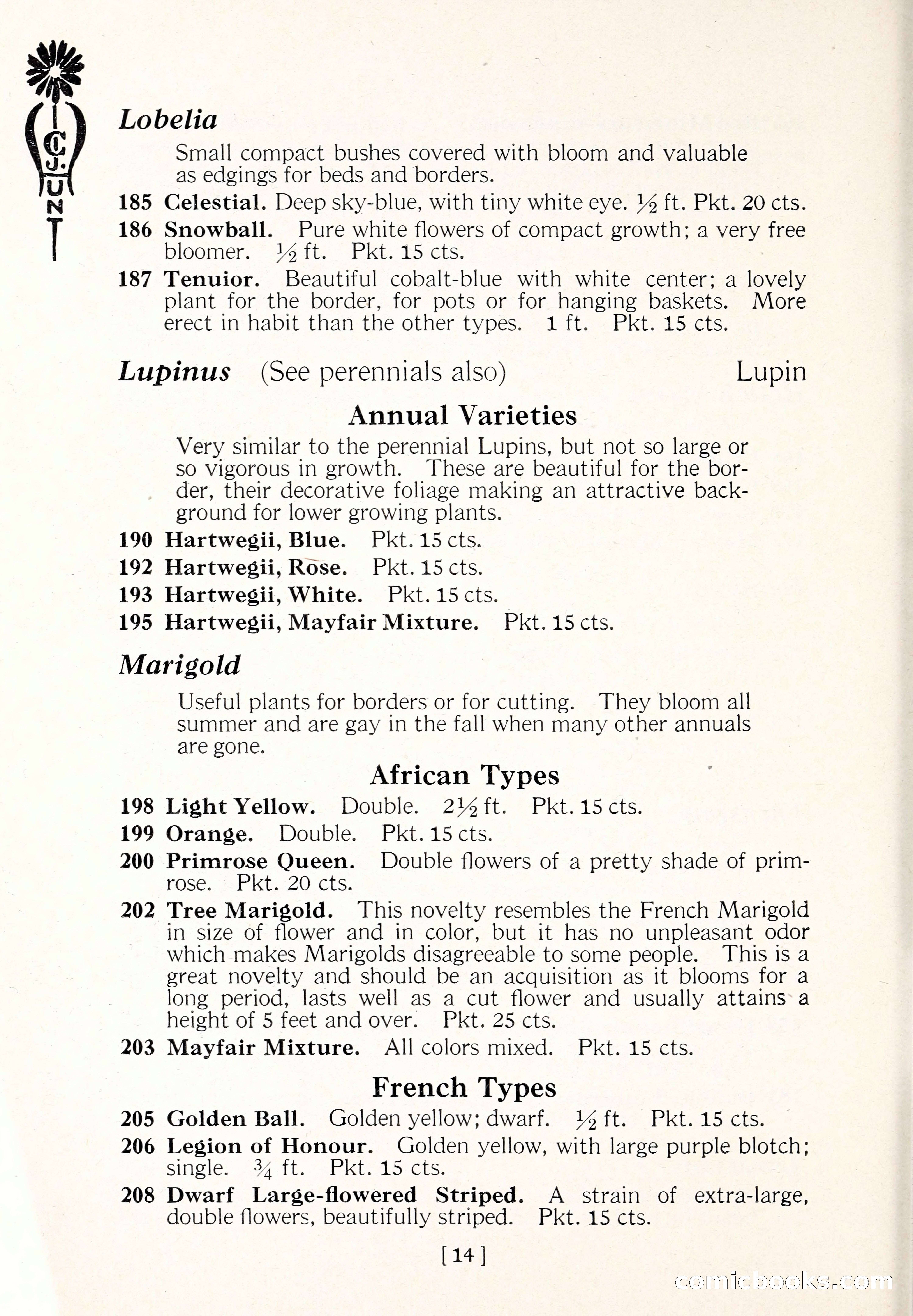 Blue Book of Flower Seeds and Gladioli — page 19 of 61