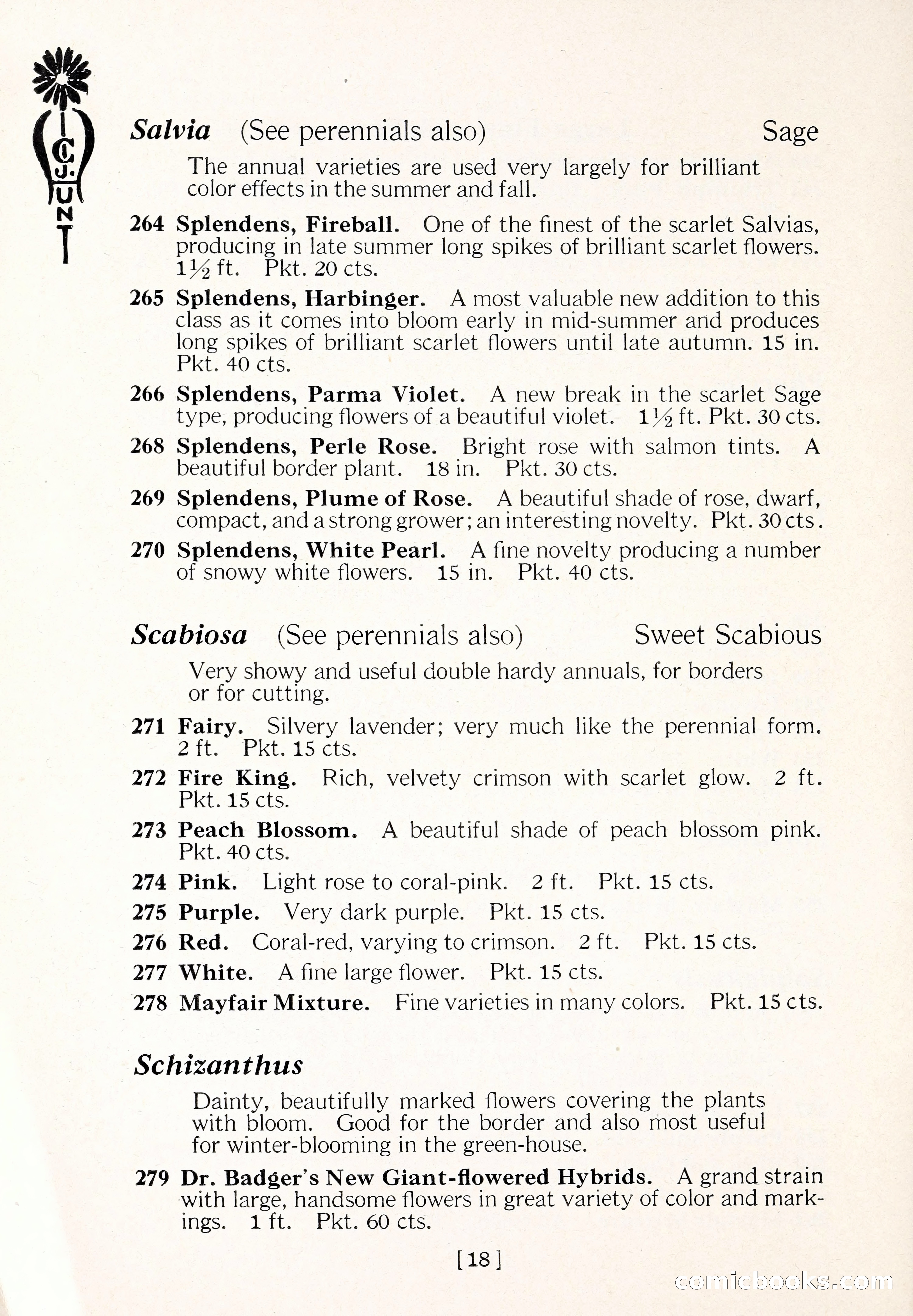 Blue Book of Flower Seeds and Gladioli — page 23 of 61