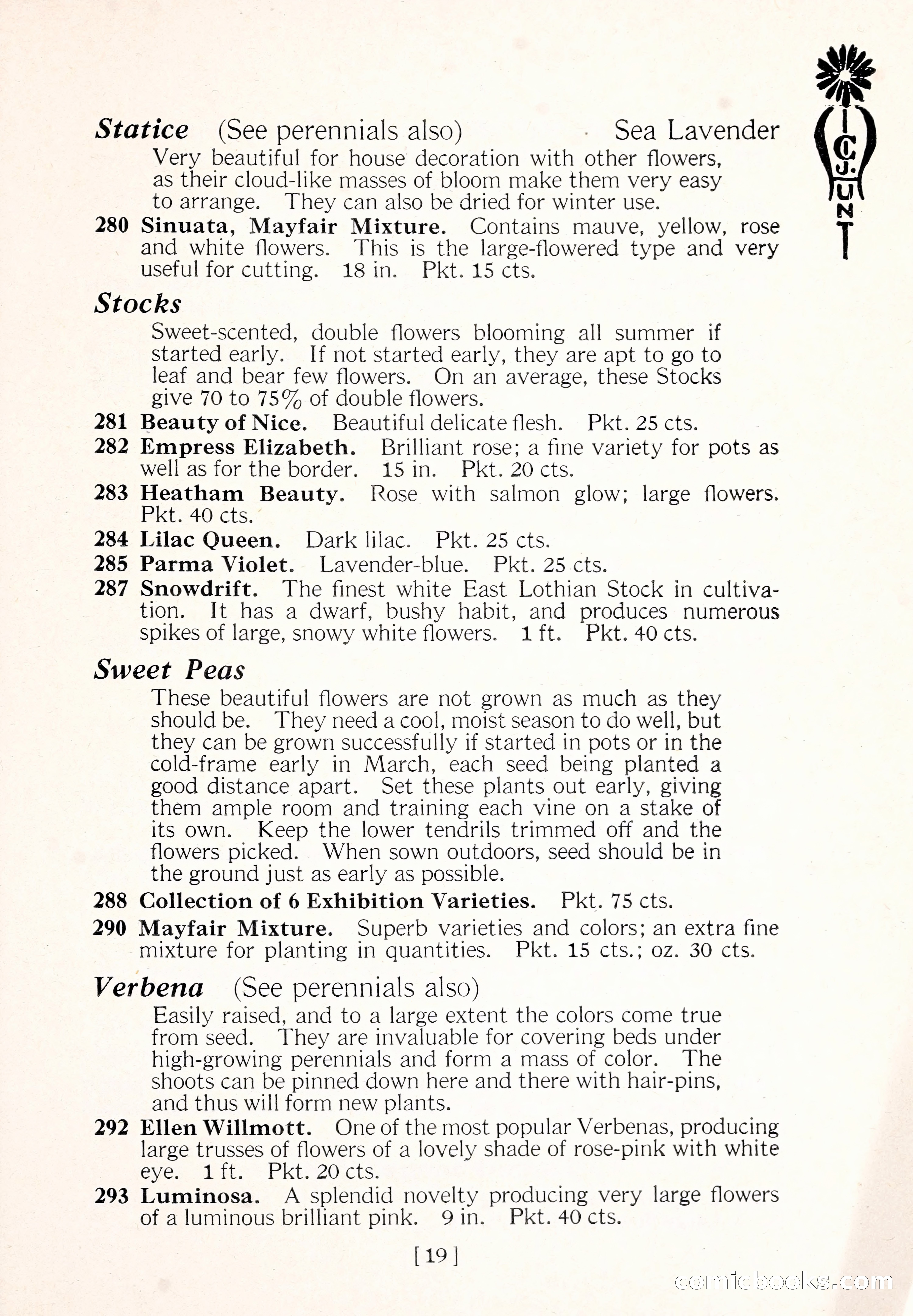 Blue Book of Flower Seeds and Gladioli — page 24 of 61