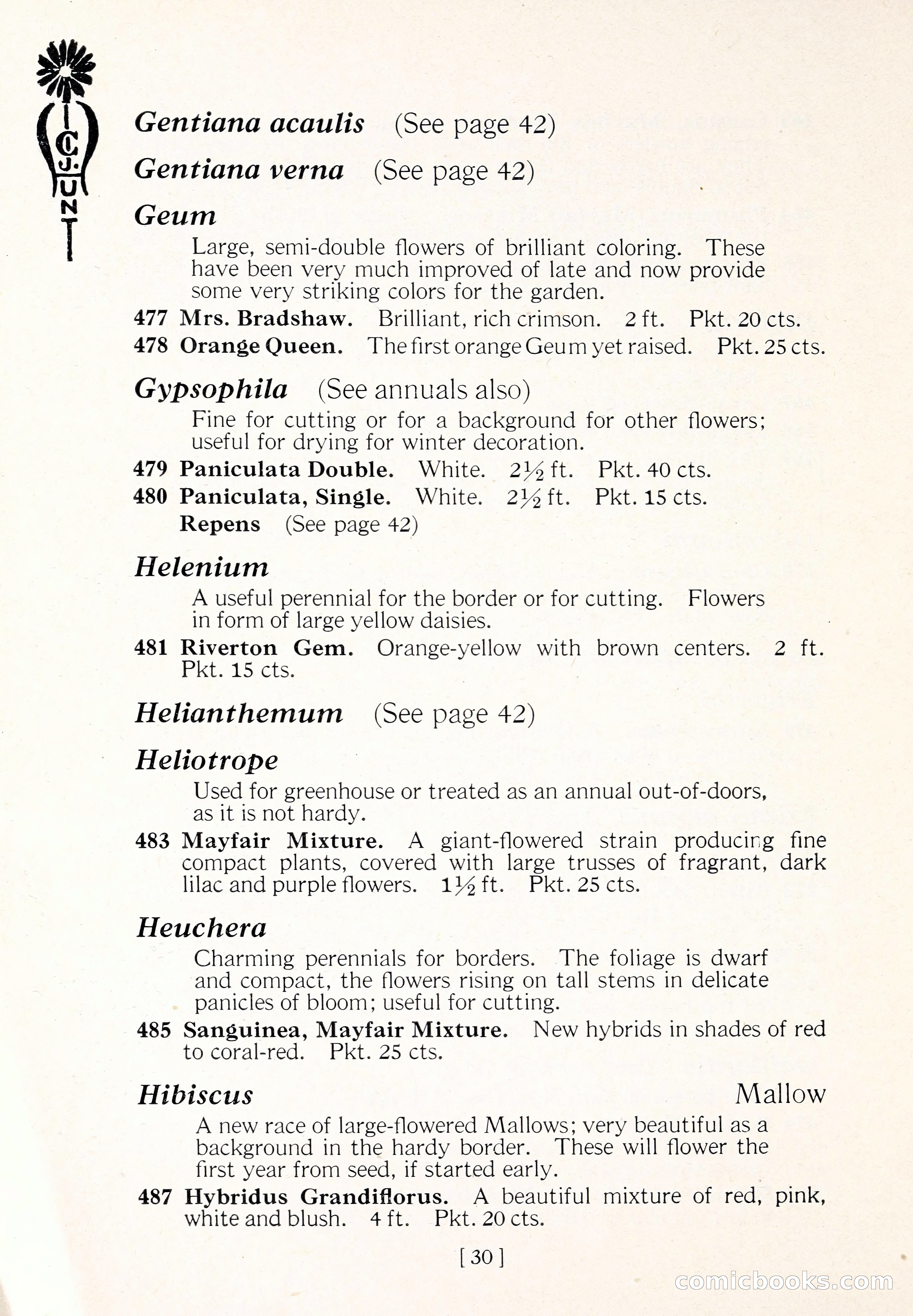 Blue Book of Flower Seeds and Gladioli — page 35 of 61