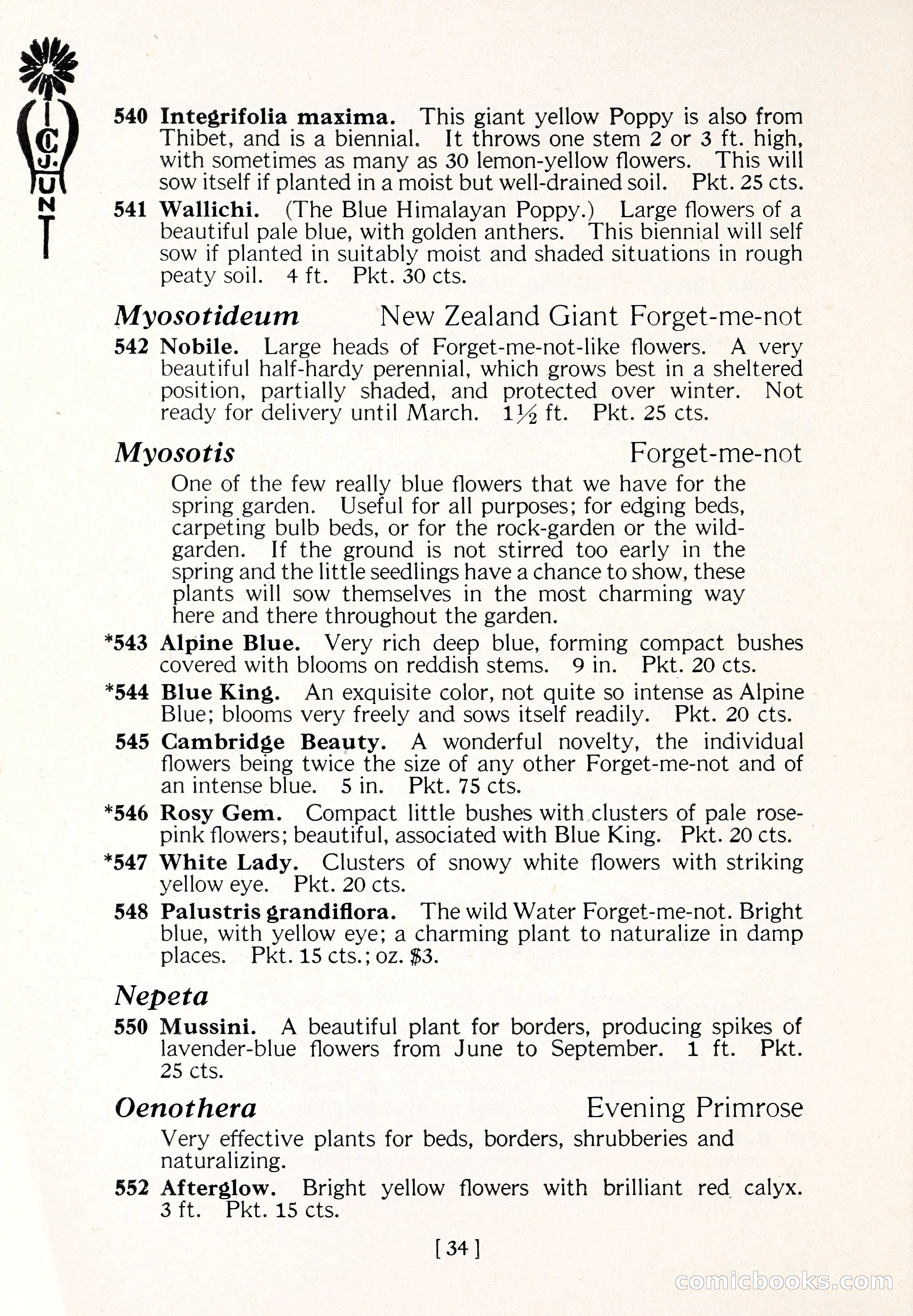 Blue Book of Flower Seeds and Gladioli — page 39 of 61