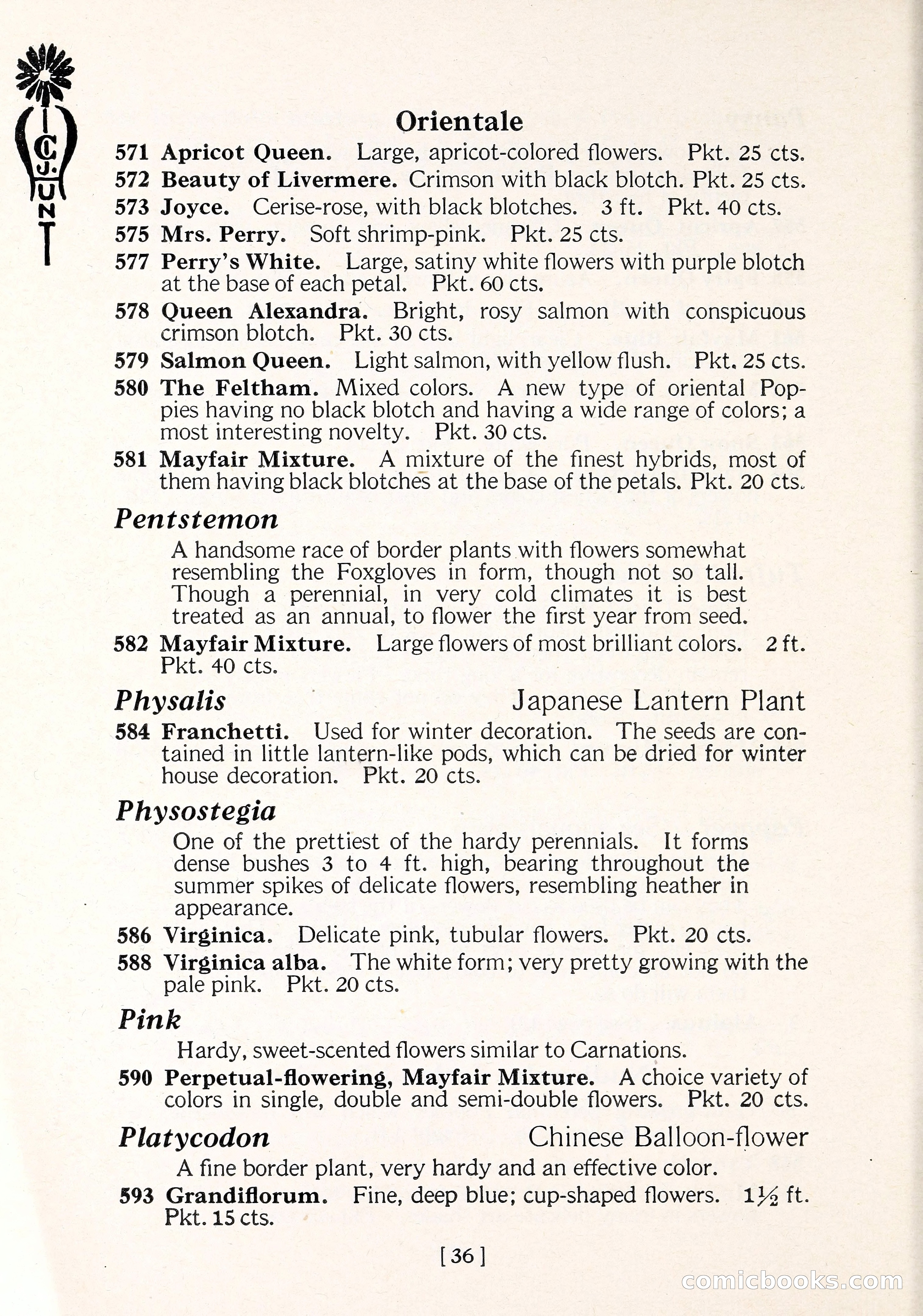 Blue Book of Flower Seeds and Gladioli — page 41 of 61