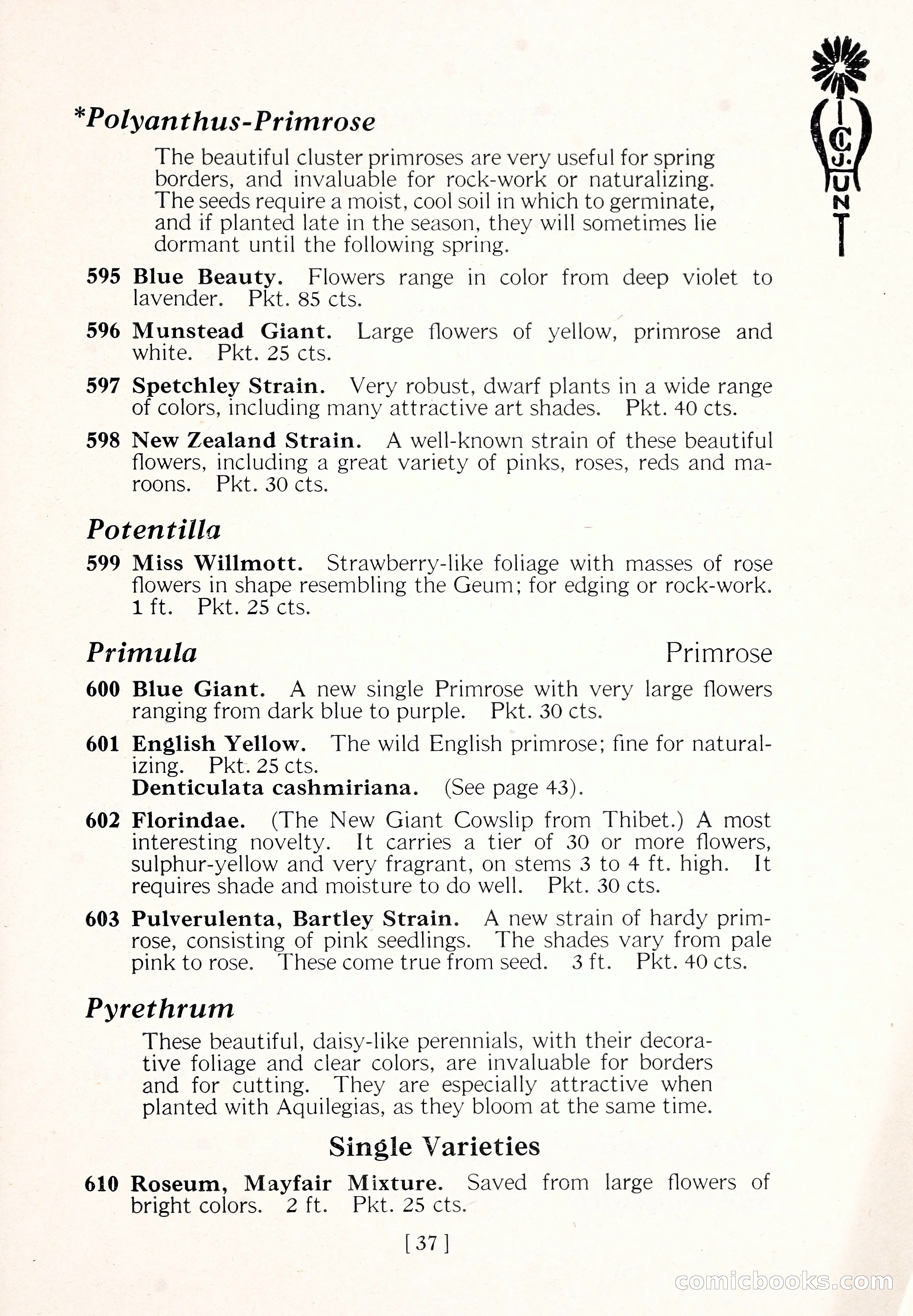 Blue Book of Flower Seeds and Gladioli — page 42 of 61