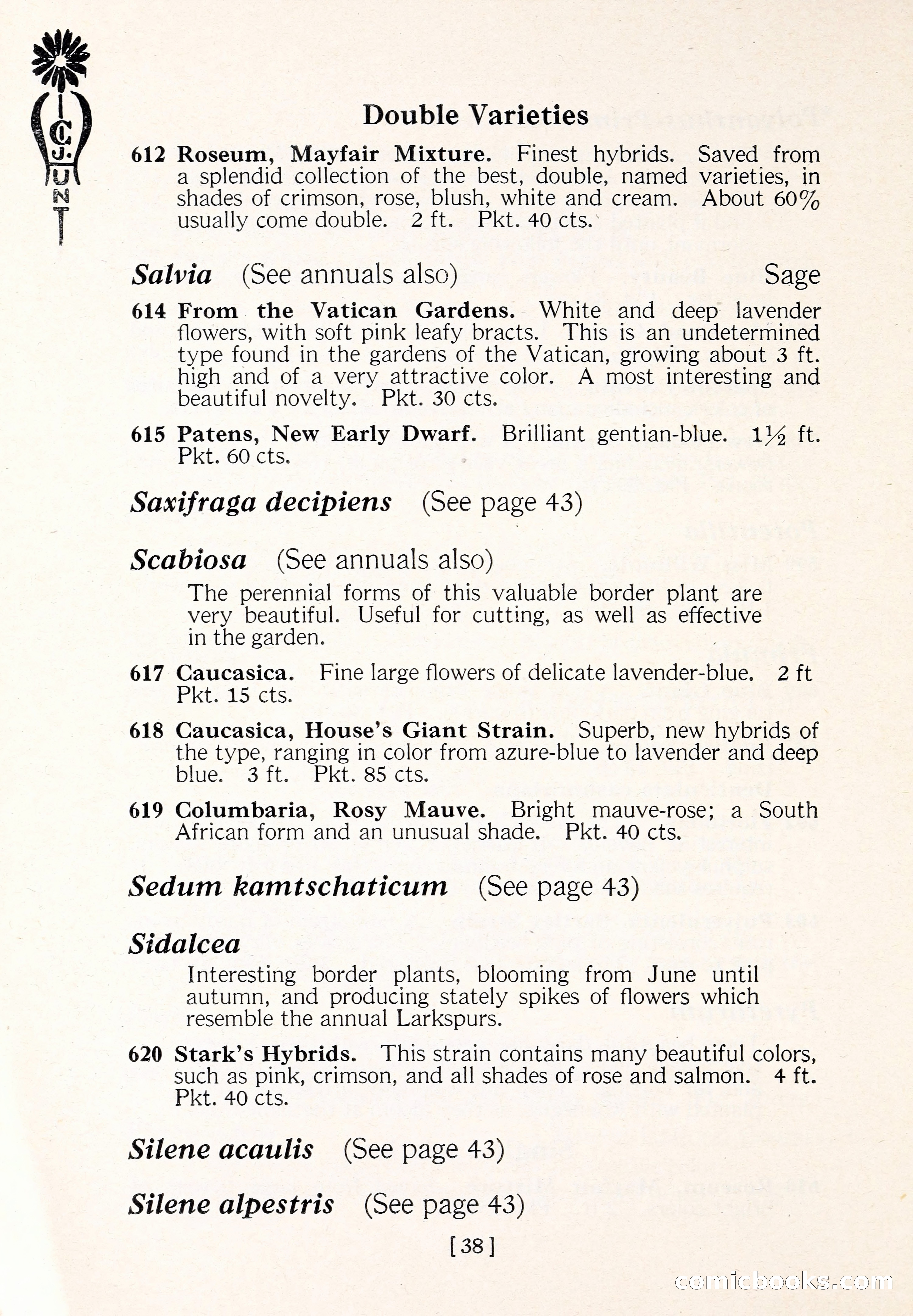 Blue Book of Flower Seeds and Gladioli — page 43 of 61