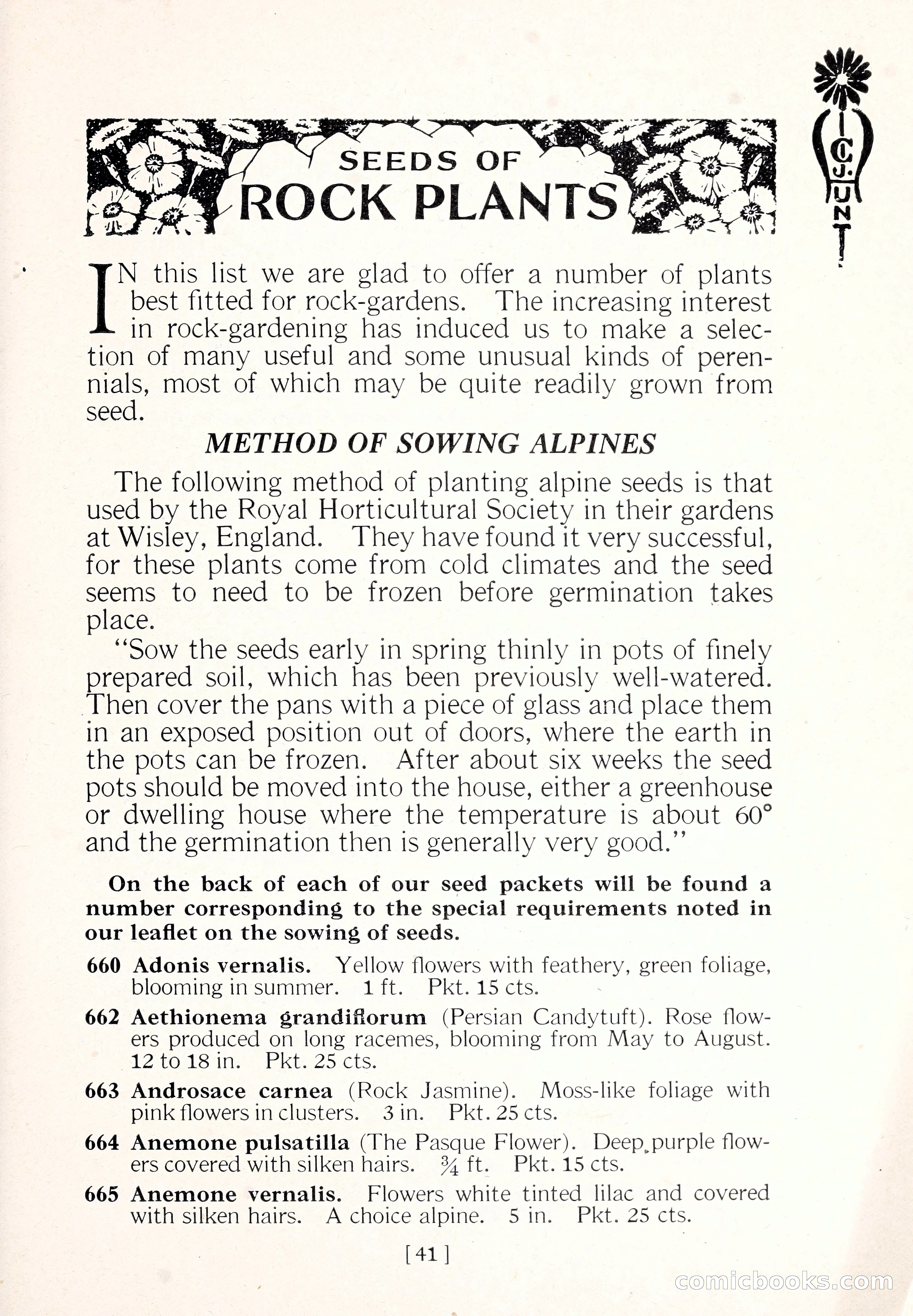 Blue Book of Flower Seeds and Gladioli — page 46 of 61