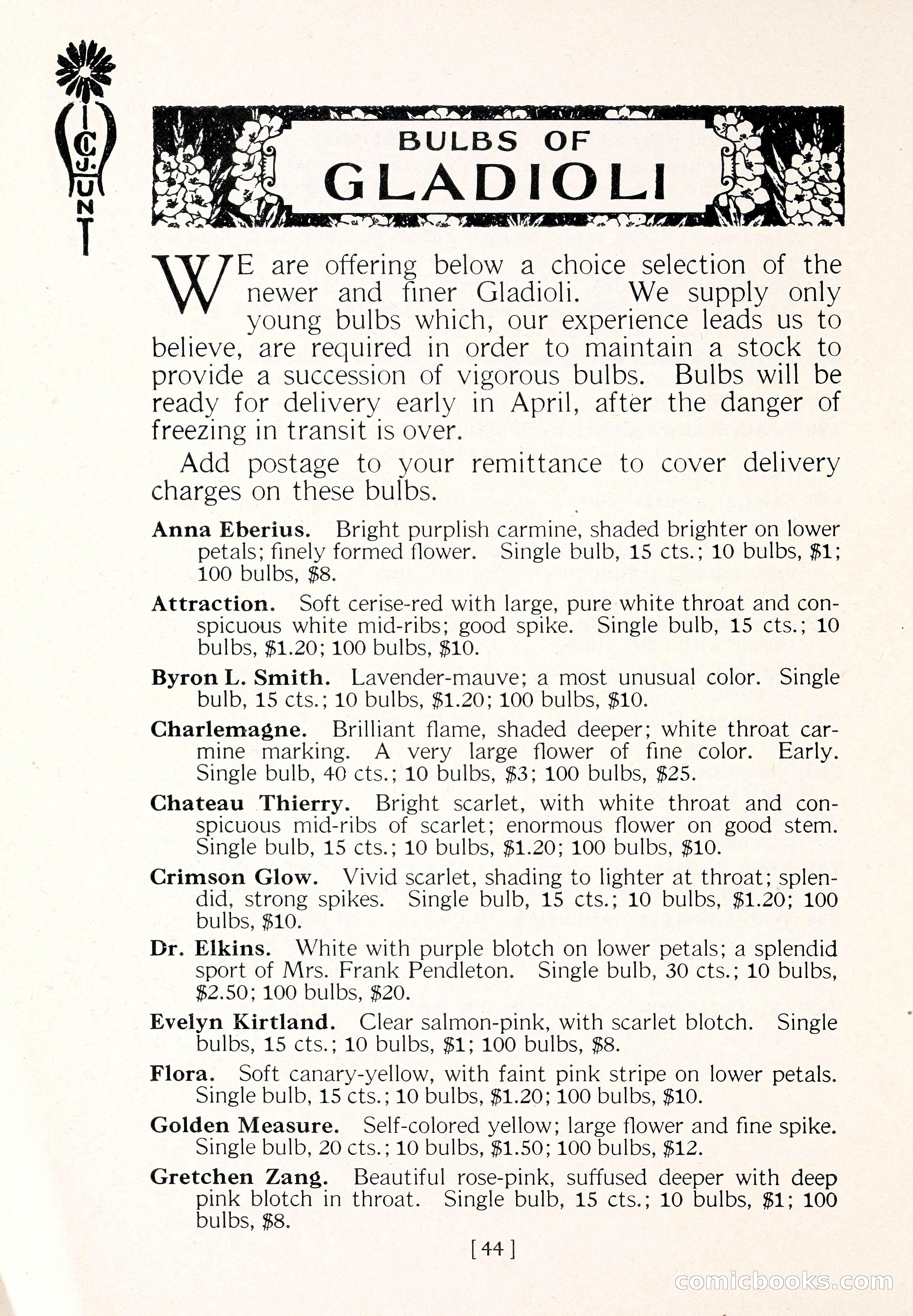Blue Book of Flower Seeds and Gladioli — page 49 of 61