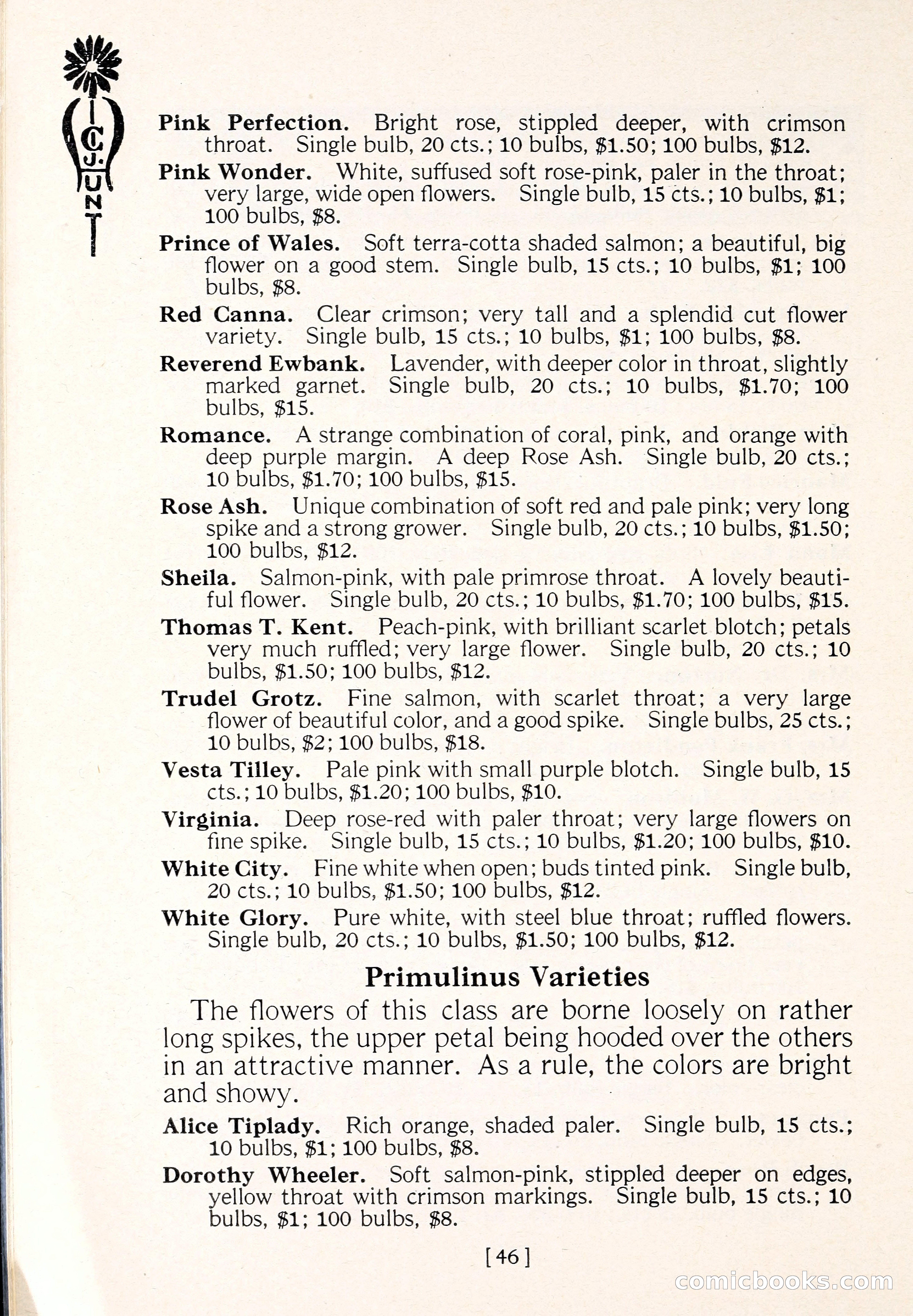 Blue Book of Flower Seeds and Gladioli — page 51 of 61