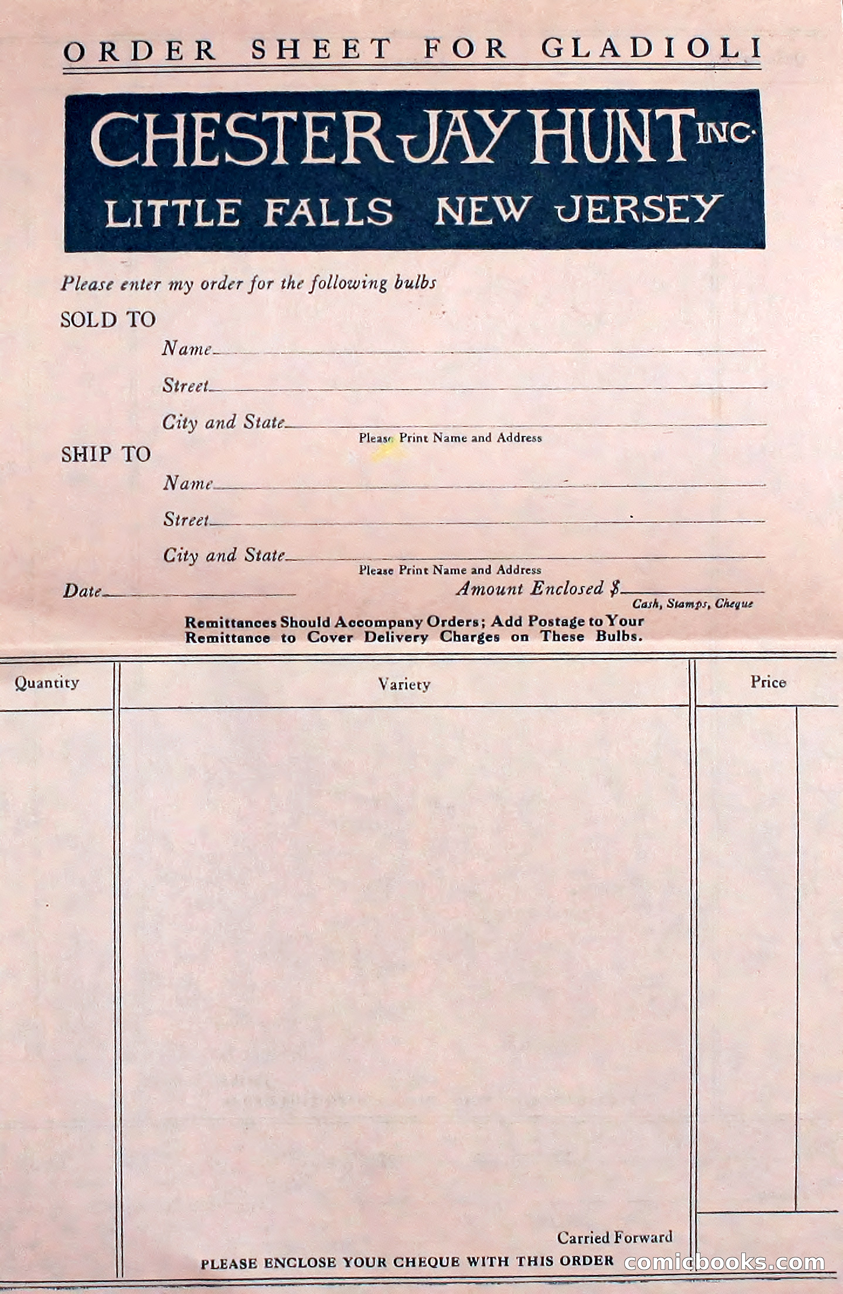 Blue Book of Flower Seeds and Gladioli — page 57 of 61