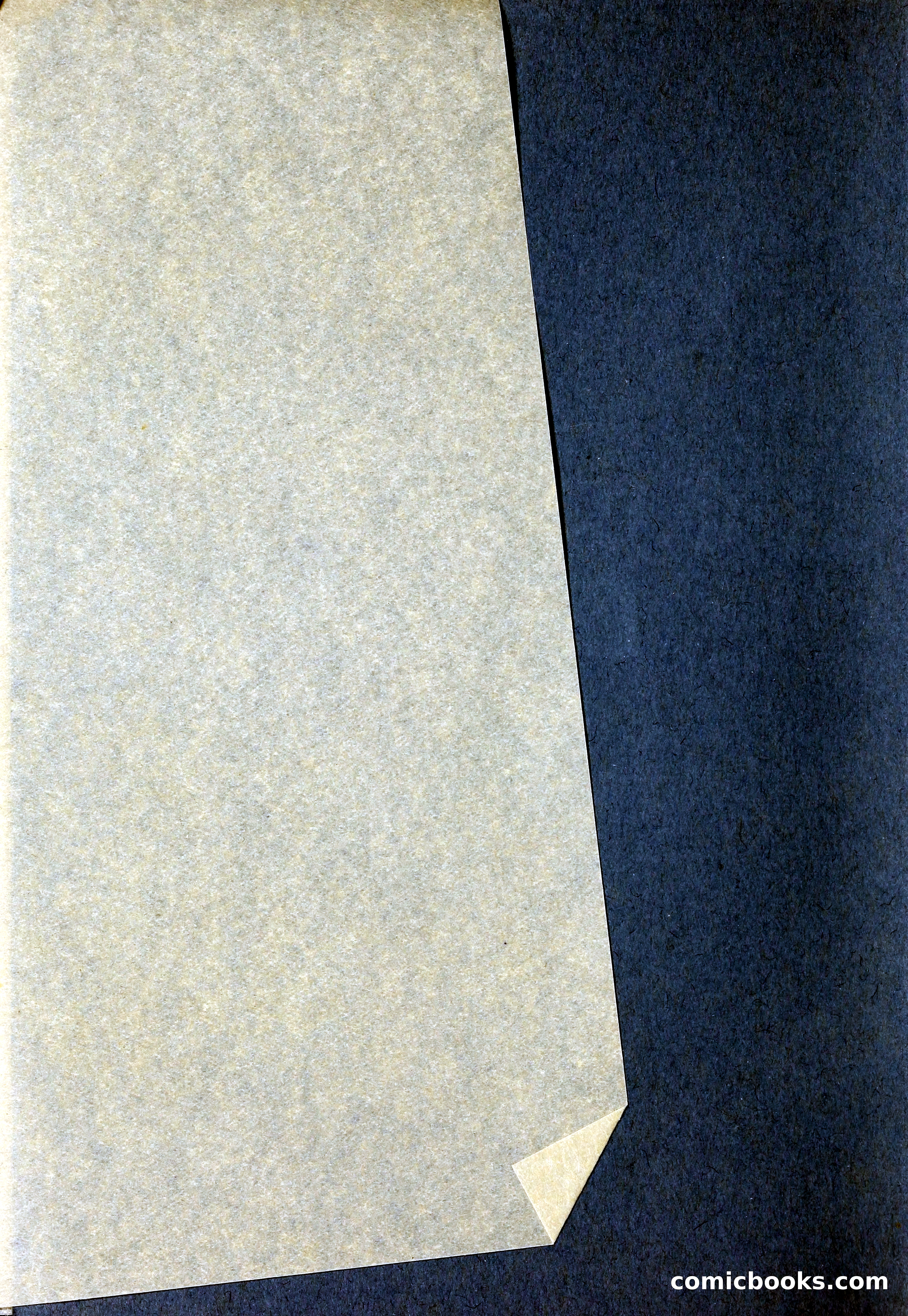 Blue Book of Bulbs, 1929 — page 5 of 125