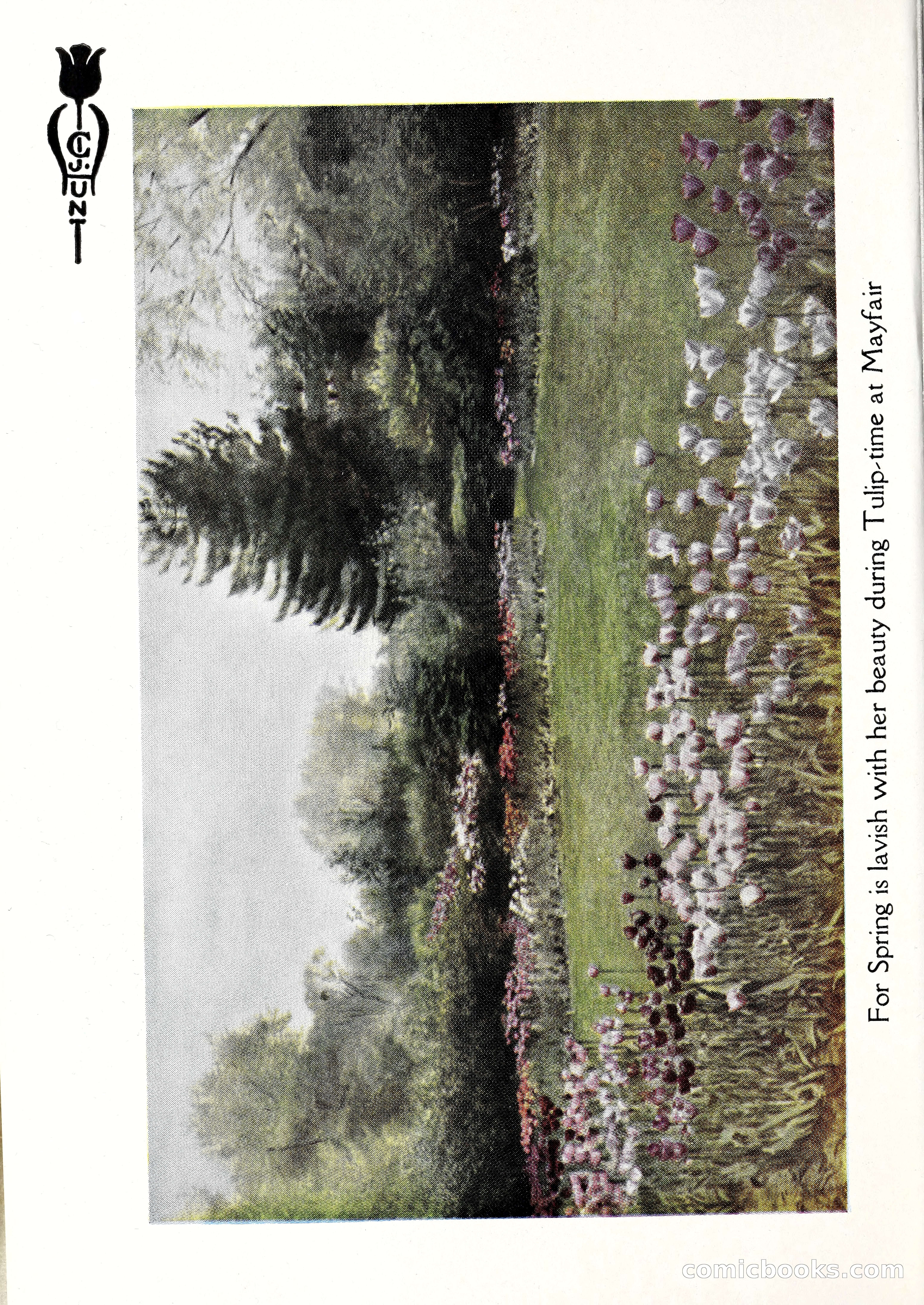 Blue Book of Bulbs, 1929 — page 7 of 125
