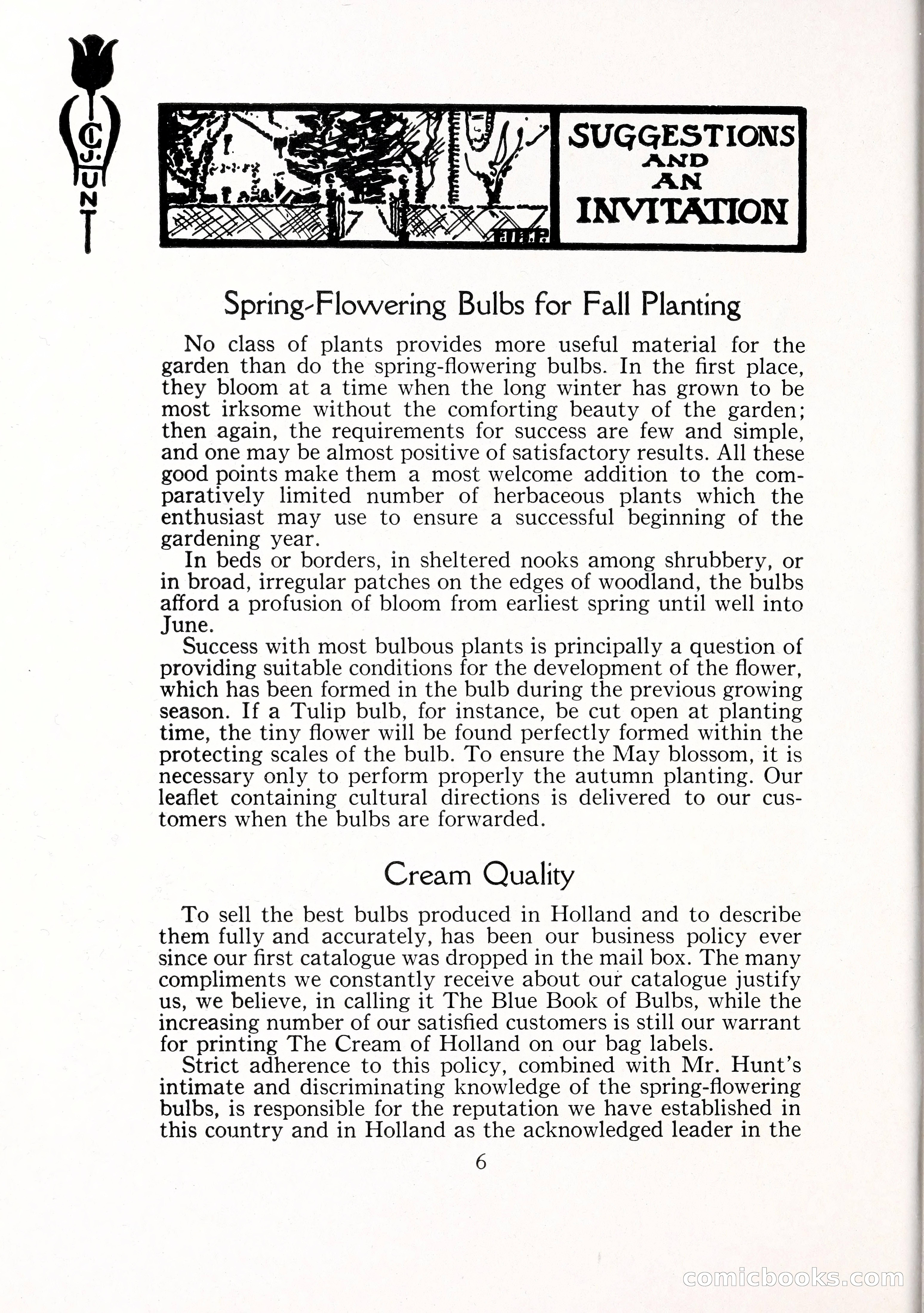 Blue Book of Bulbs, 1929 — page 11 of 125