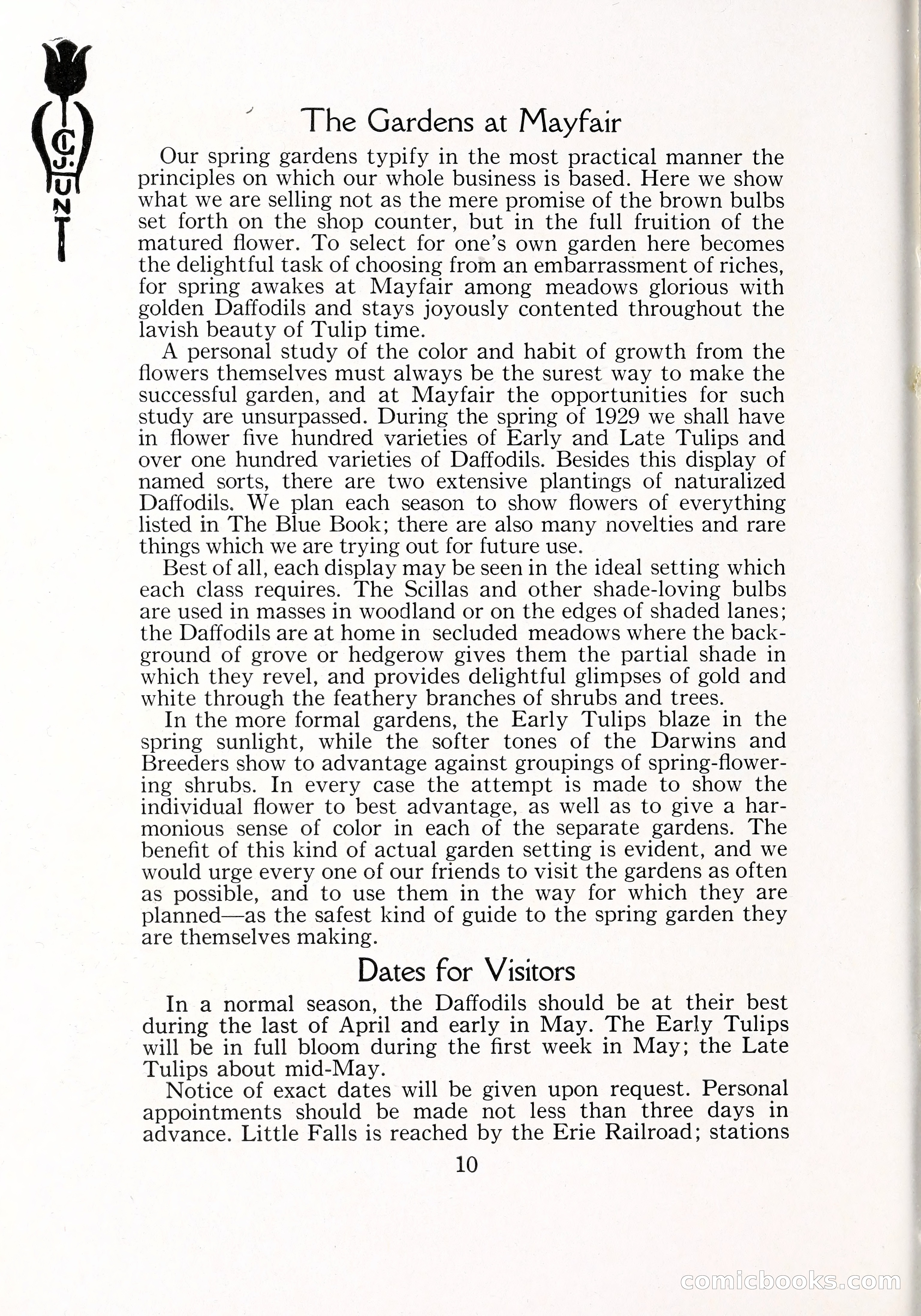 Blue Book of Bulbs, 1929 — page 15 of 125