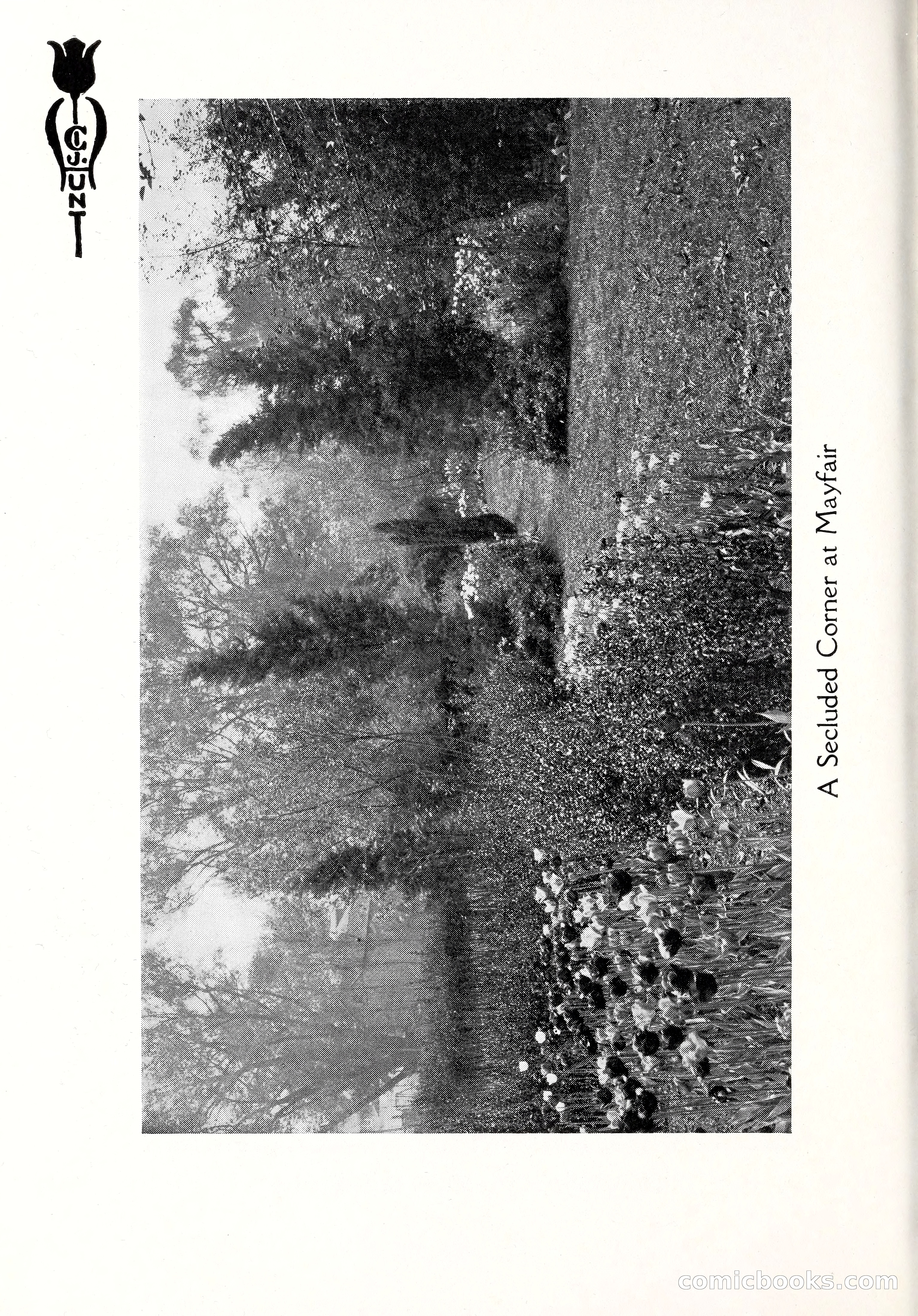 Blue Book of Bulbs, 1929 — page 17 of 125