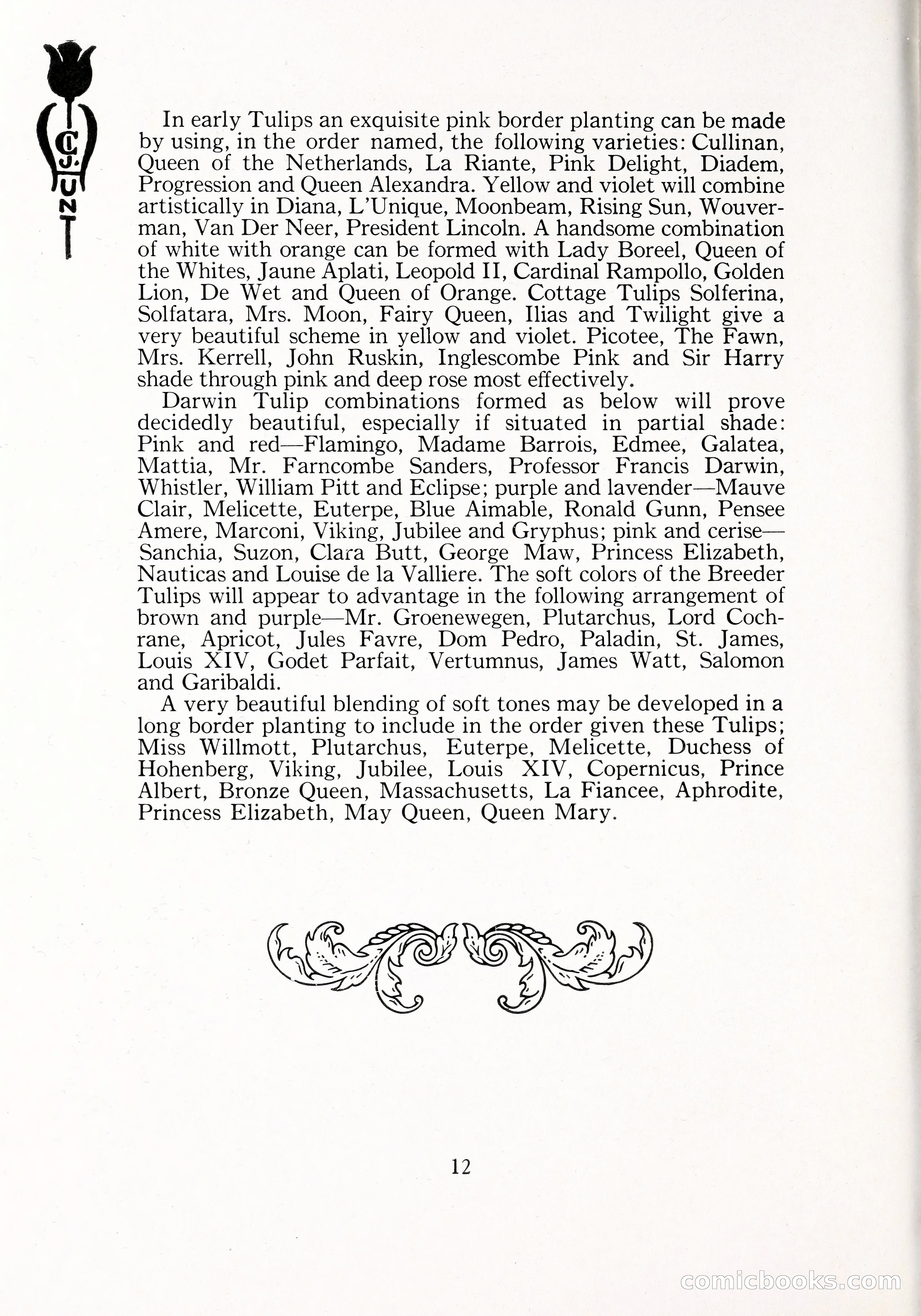 Blue Book of Bulbs, 1929 — page 19 of 125
