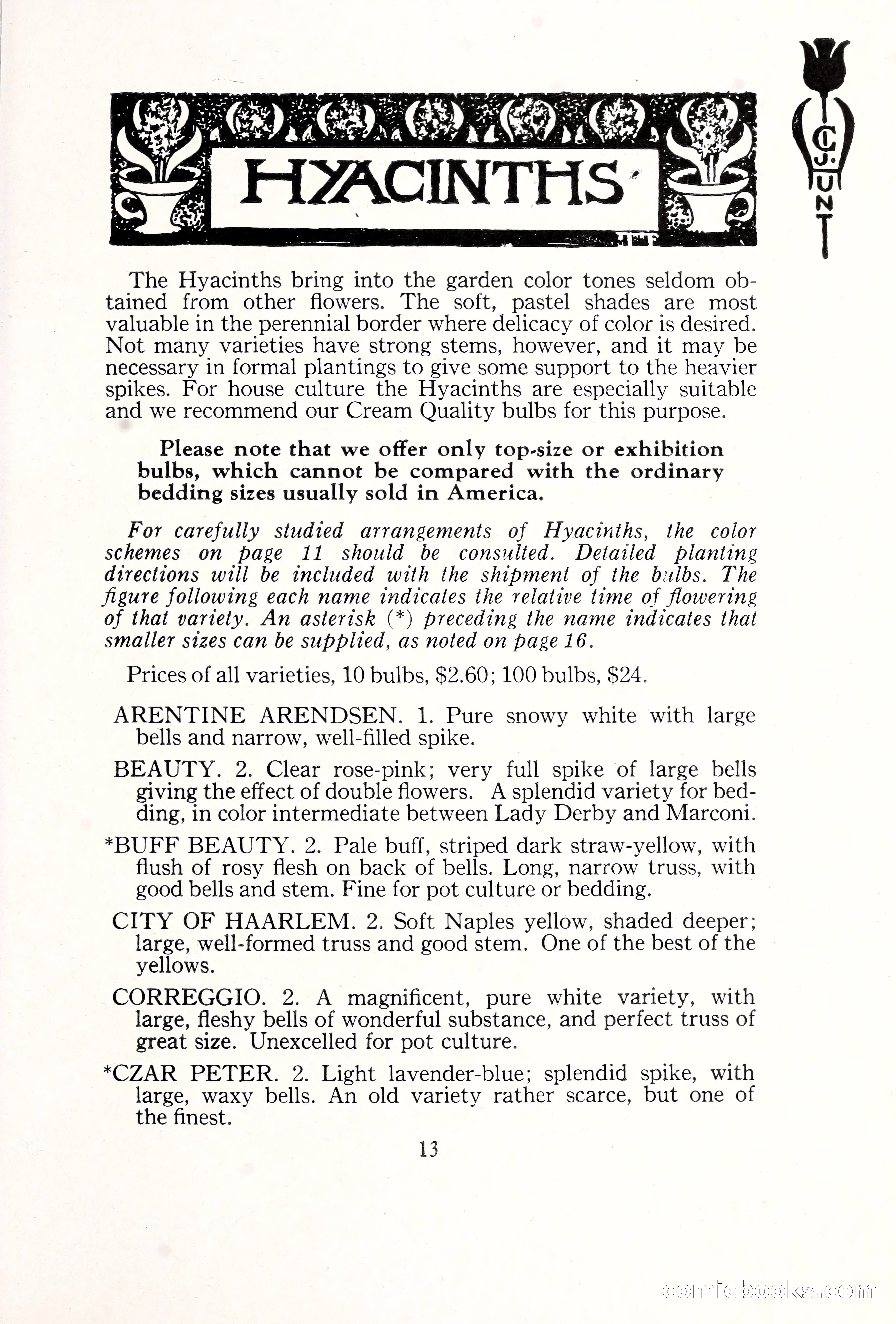 Blue Book of Bulbs, 1929 — page 20 of 125