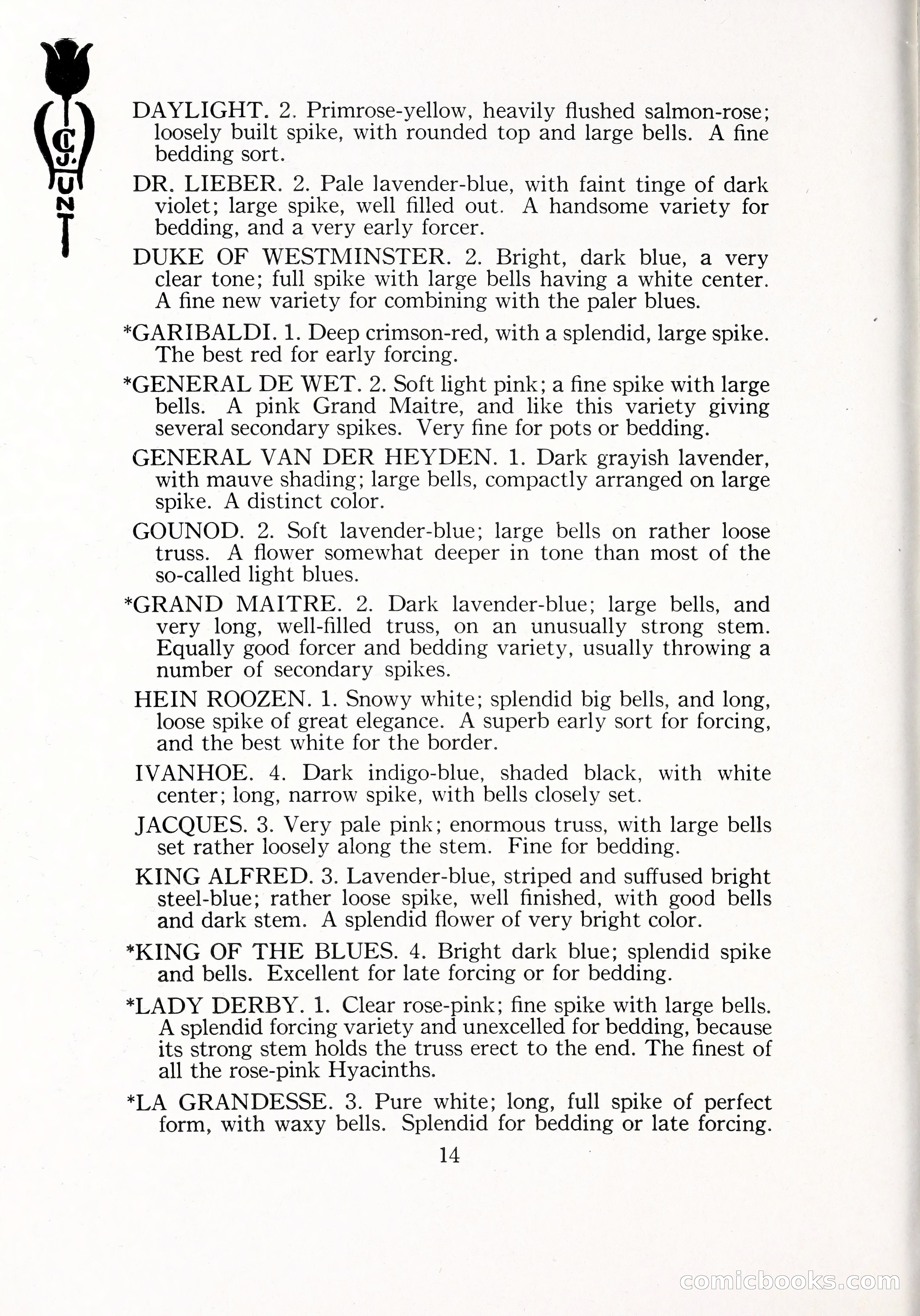 Blue Book of Bulbs, 1929 — page 21 of 125