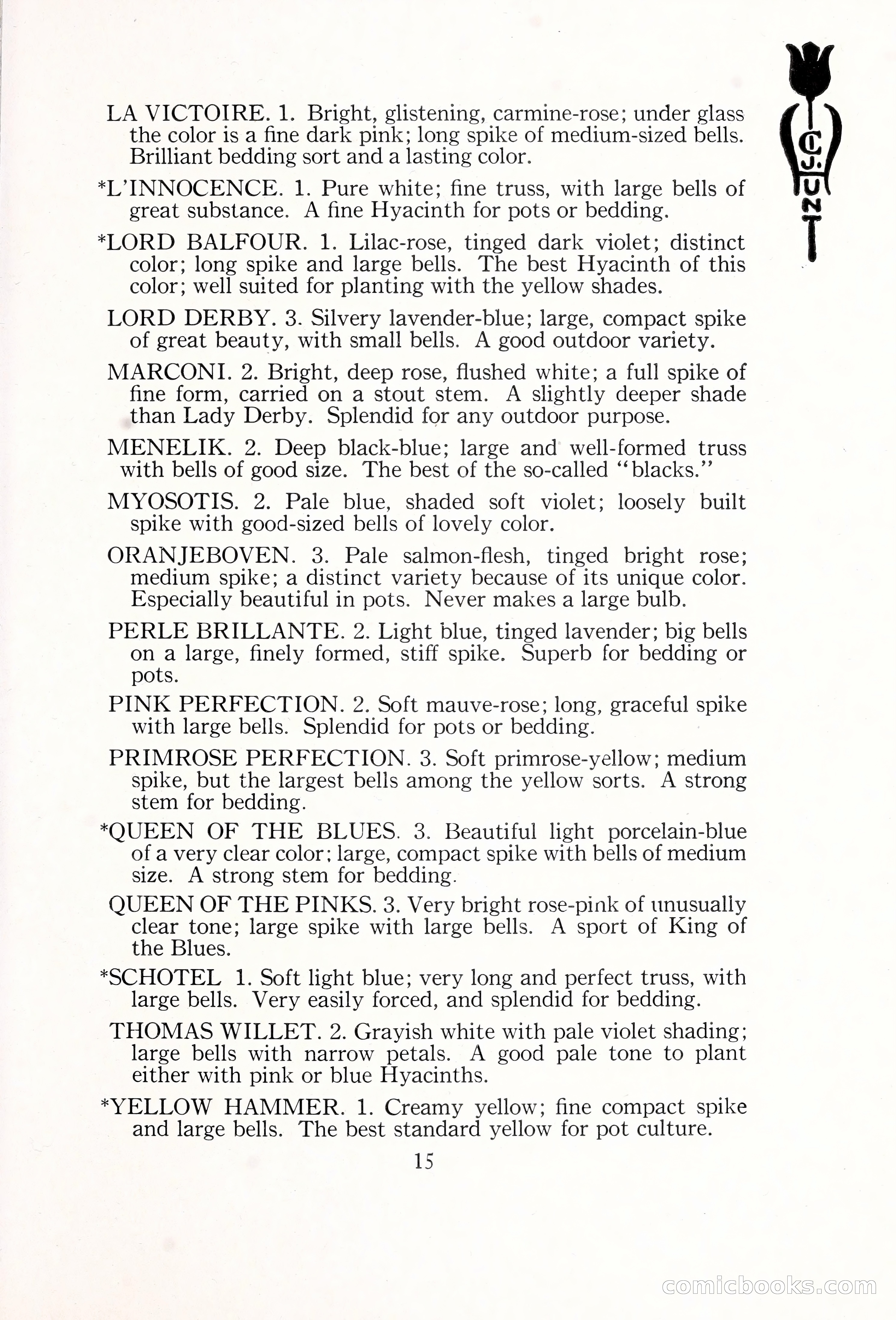 Blue Book of Bulbs, 1929 — page 22 of 125