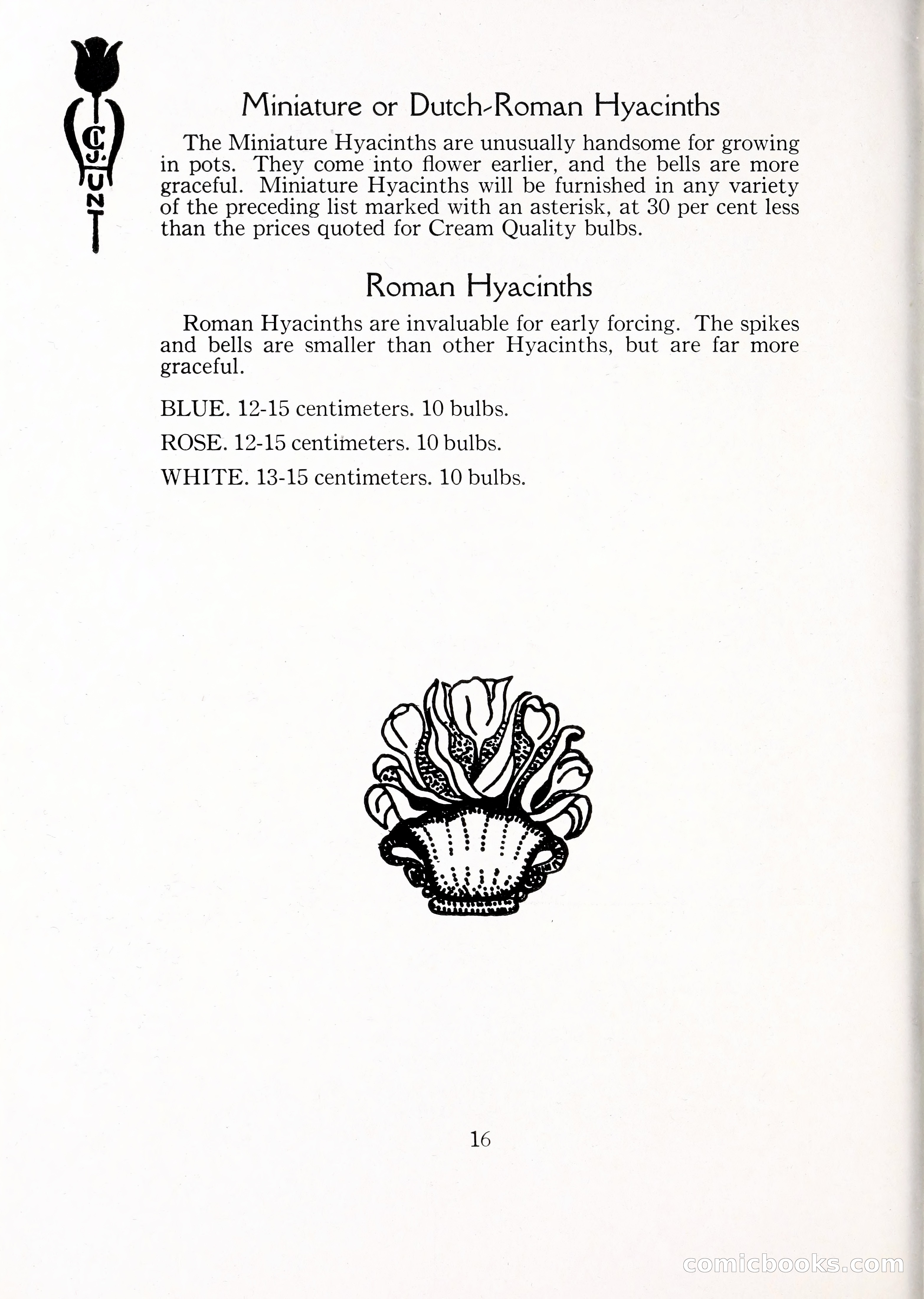 Blue Book of Bulbs, 1929 — page 23 of 125