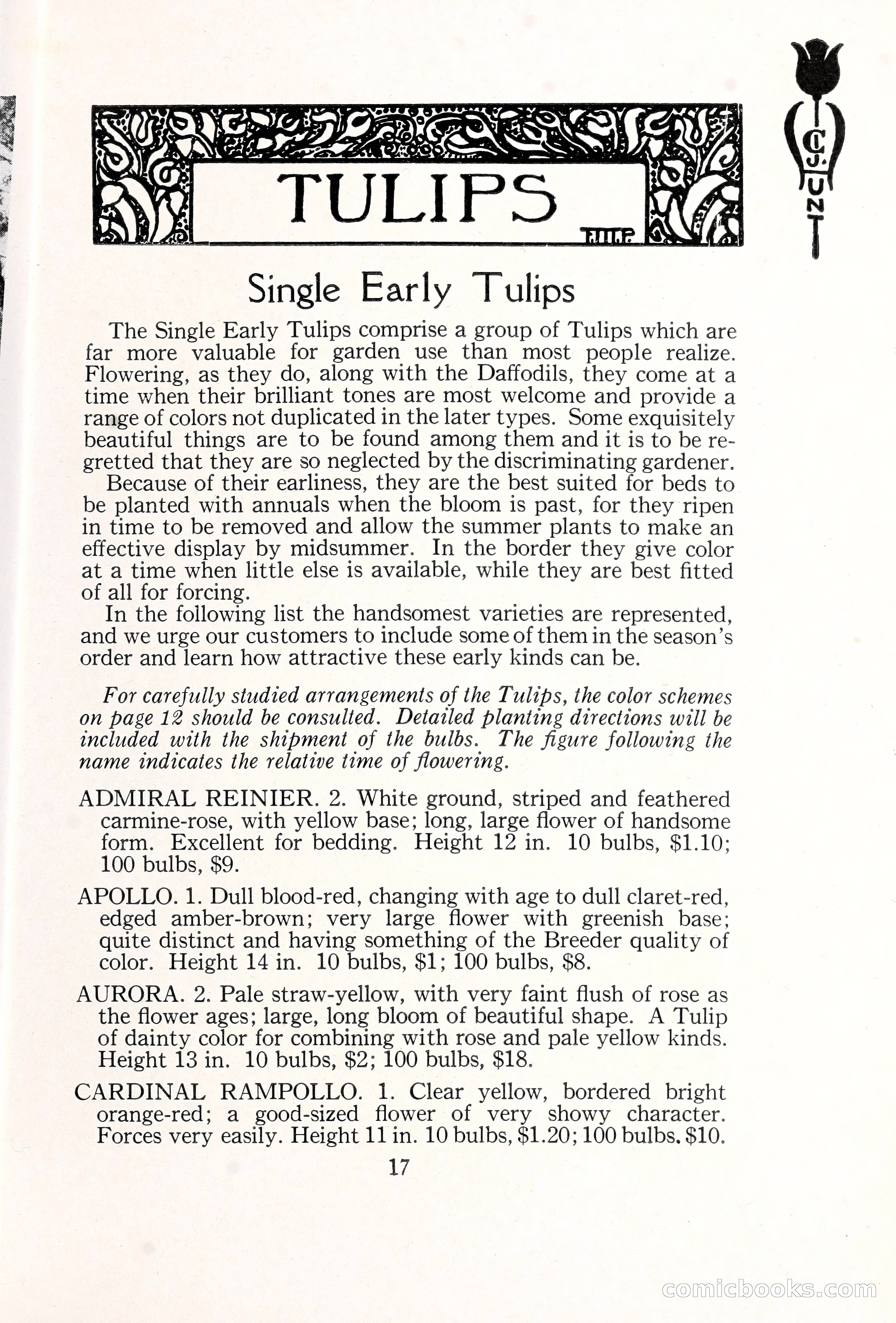 Blue Book of Bulbs, 1929 — page 26 of 125