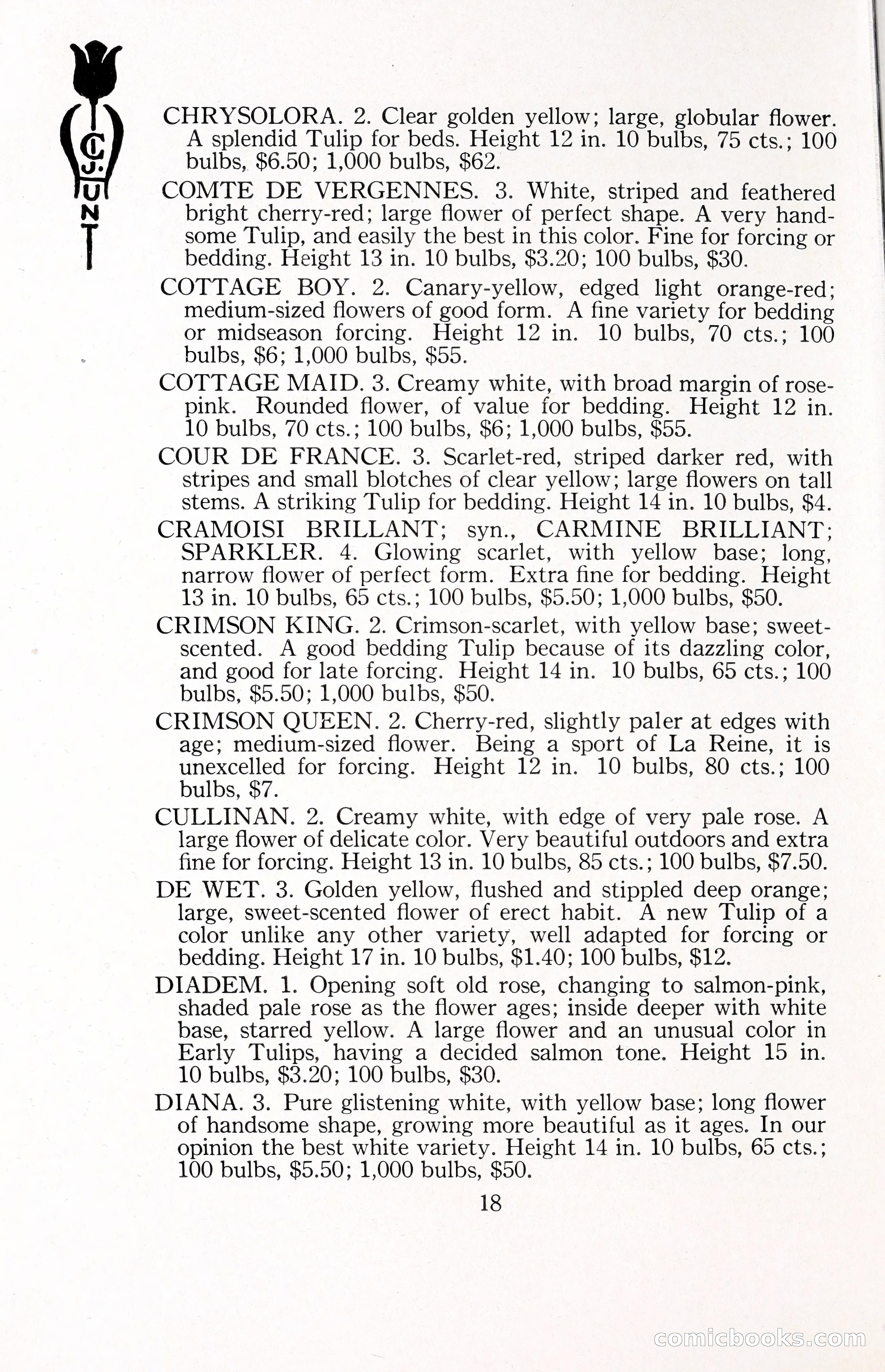 Blue Book of Bulbs, 1929 — page 27 of 125