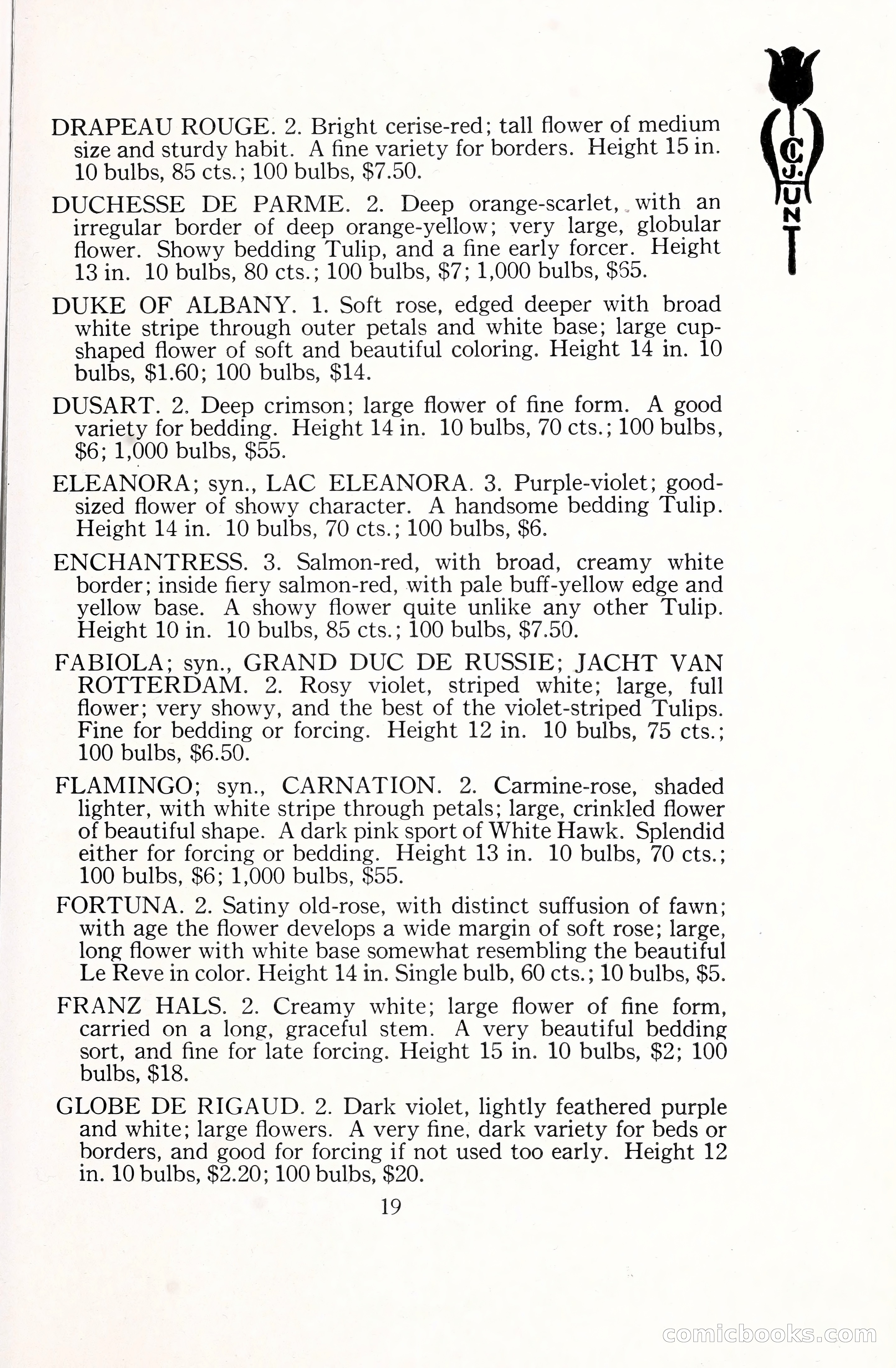 Blue Book of Bulbs, 1929 — page 28 of 125