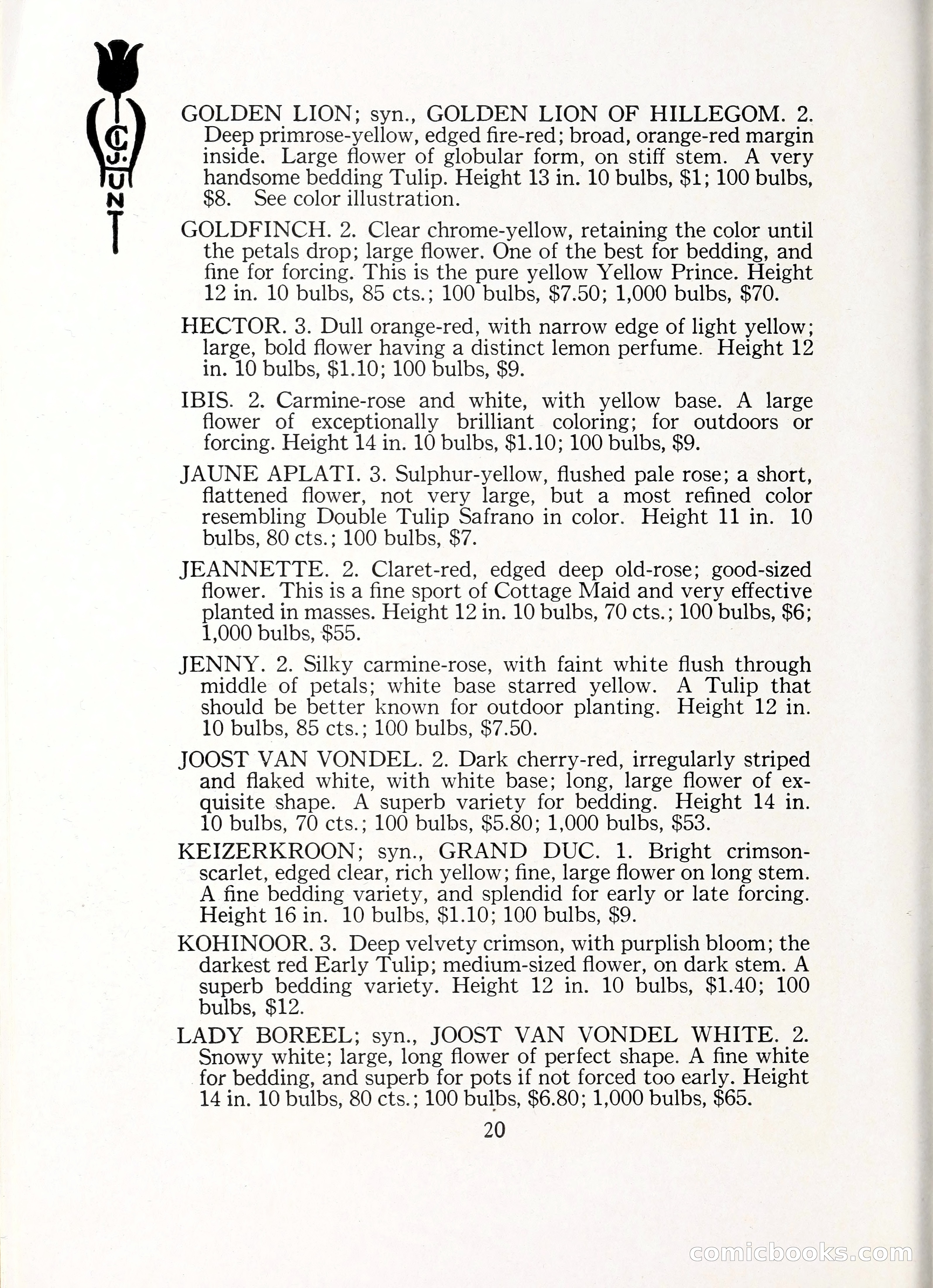 Blue Book of Bulbs, 1929 — page 29 of 125