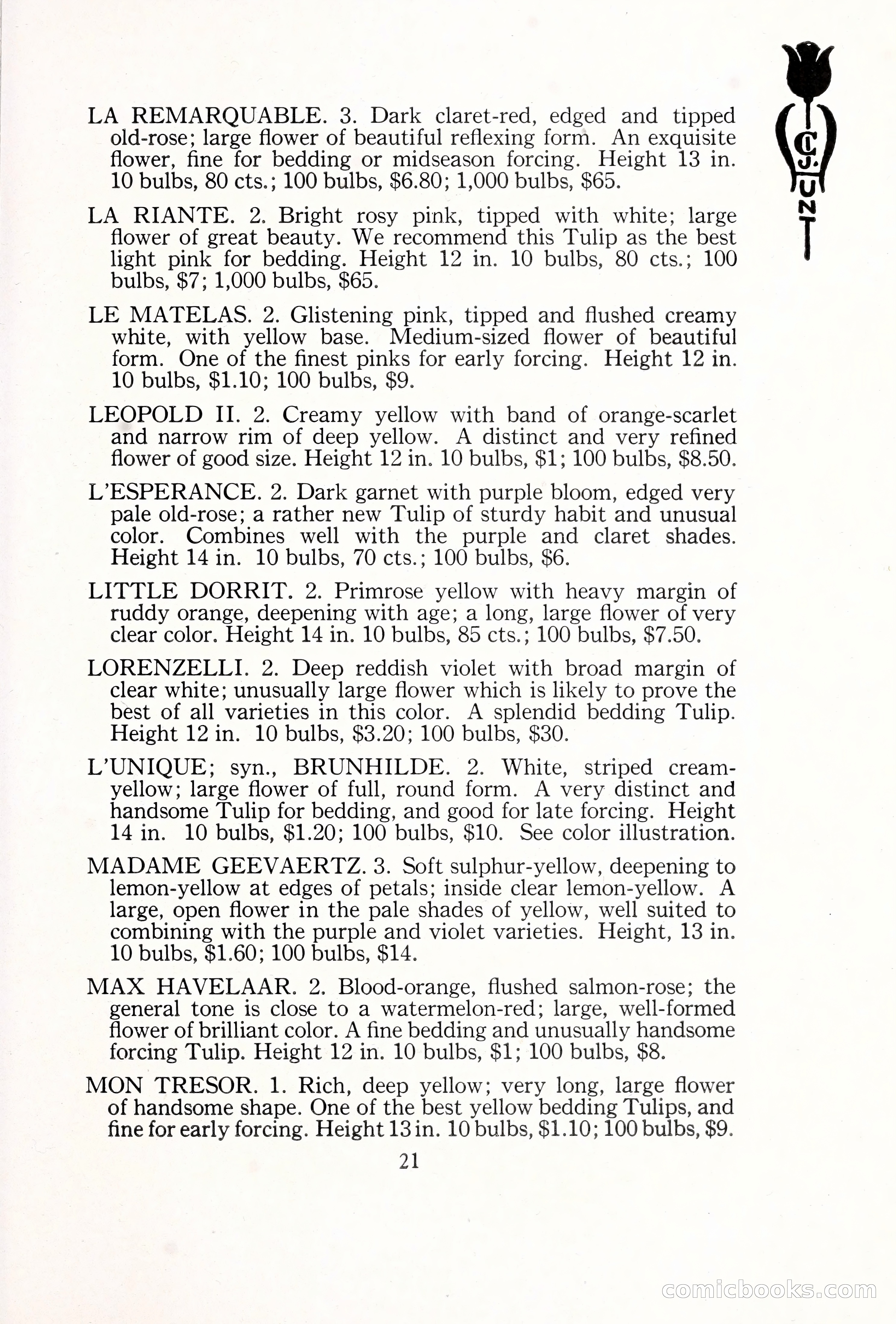 Blue Book of Bulbs, 1929 — page 32 of 125