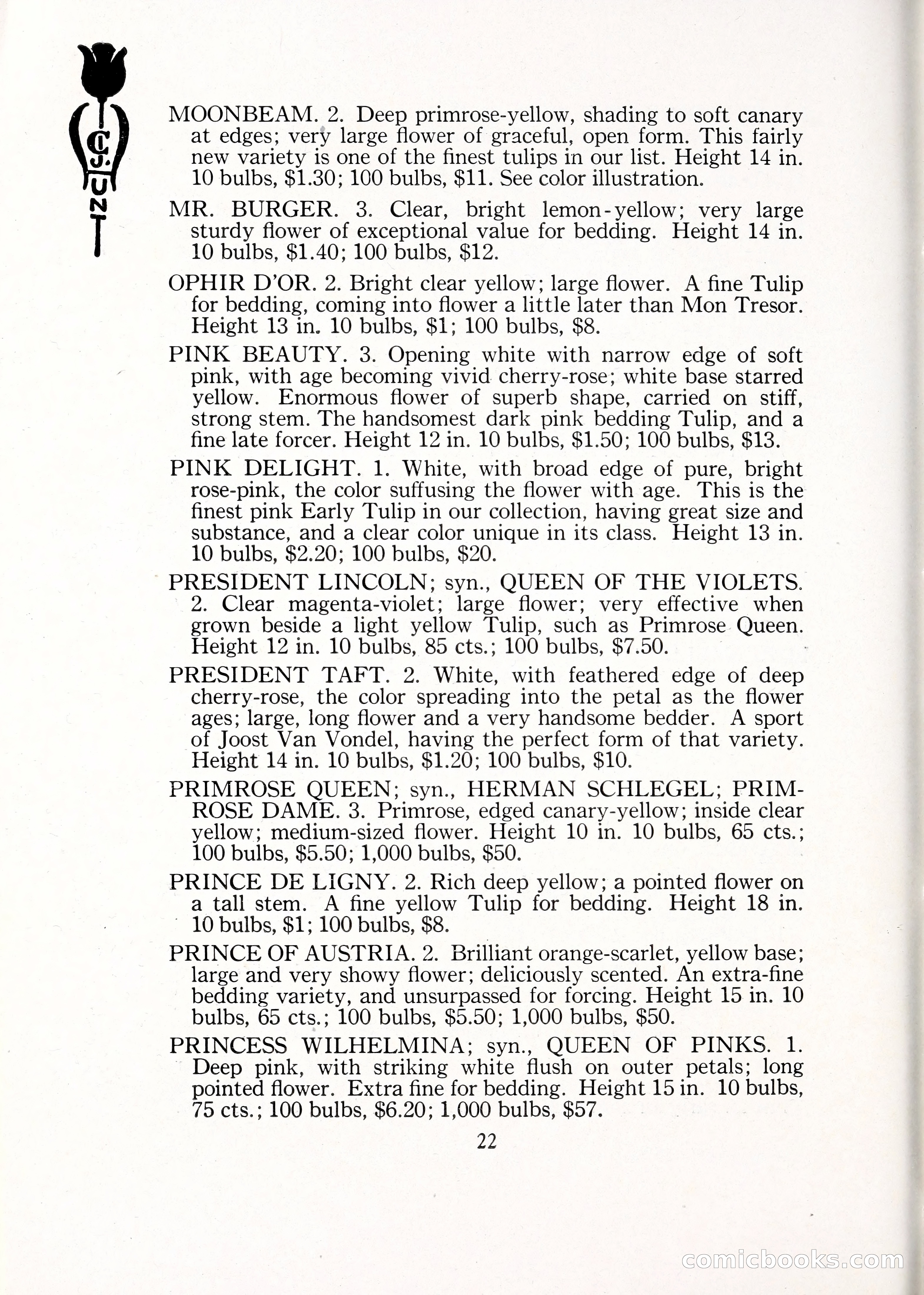 Blue Book of Bulbs, 1929 — page 33 of 125