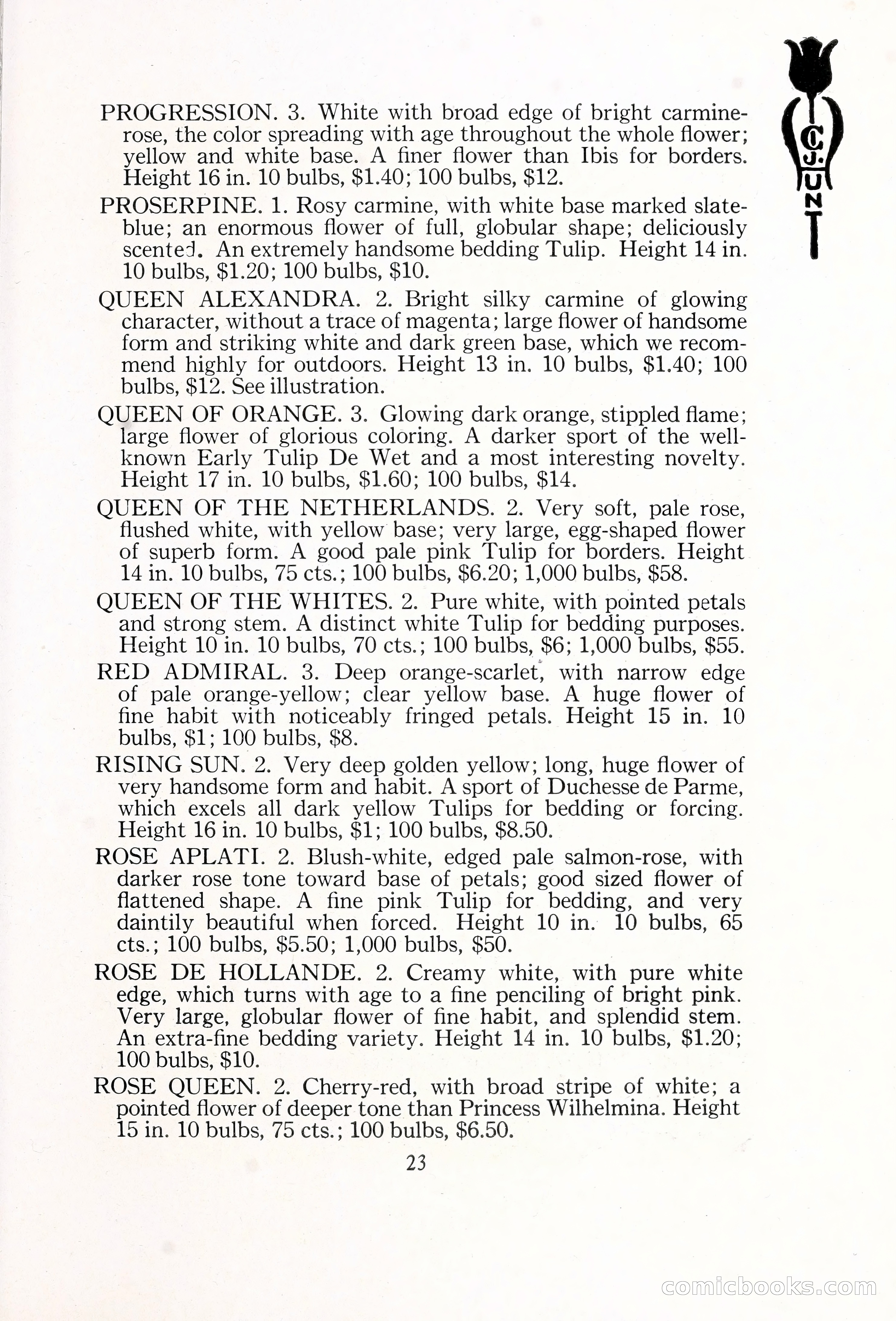Blue Book of Bulbs, 1929 — page 36 of 125