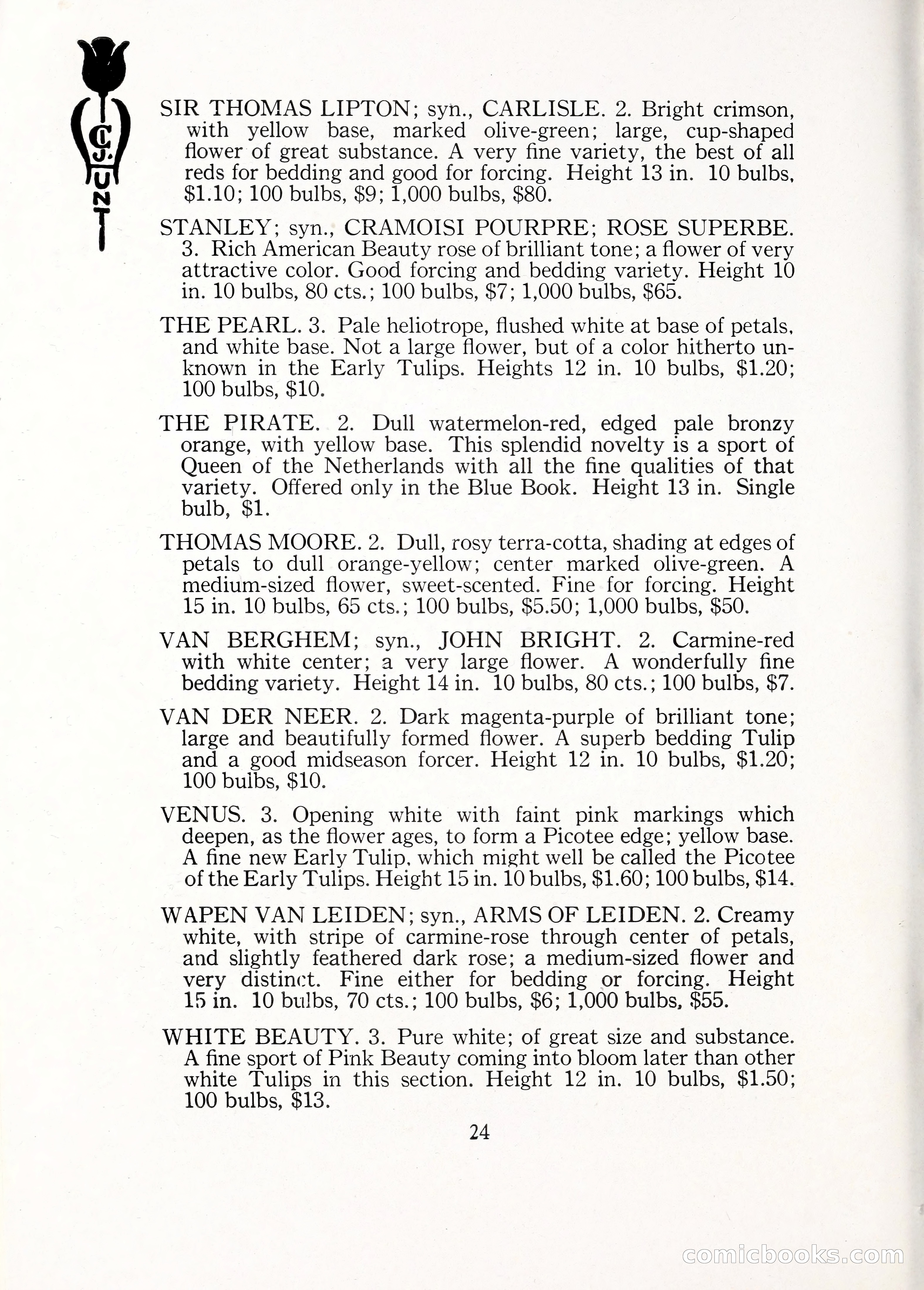 Blue Book of Bulbs, 1929 — page 37 of 125