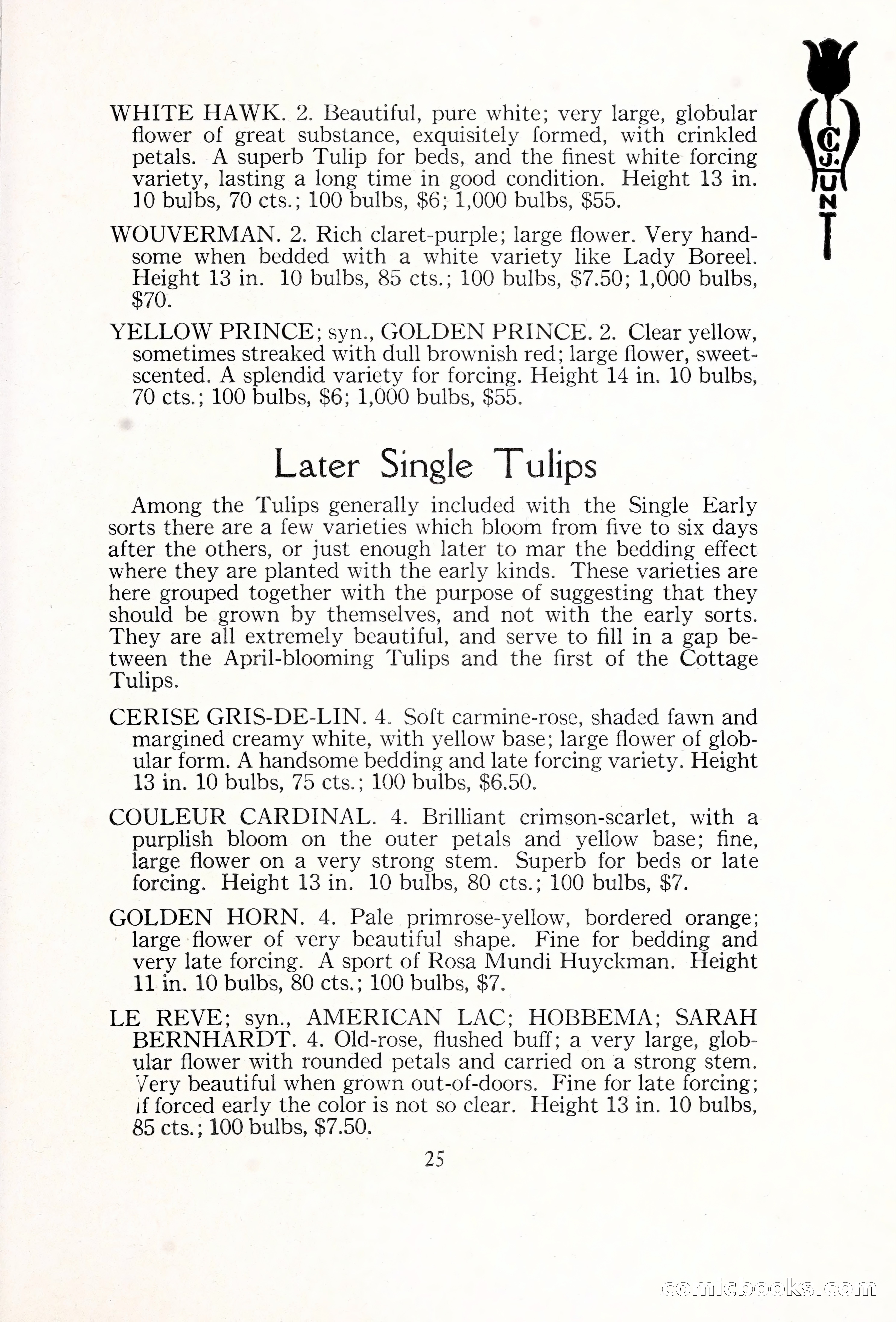 Blue Book of Bulbs, 1929 — page 38 of 125