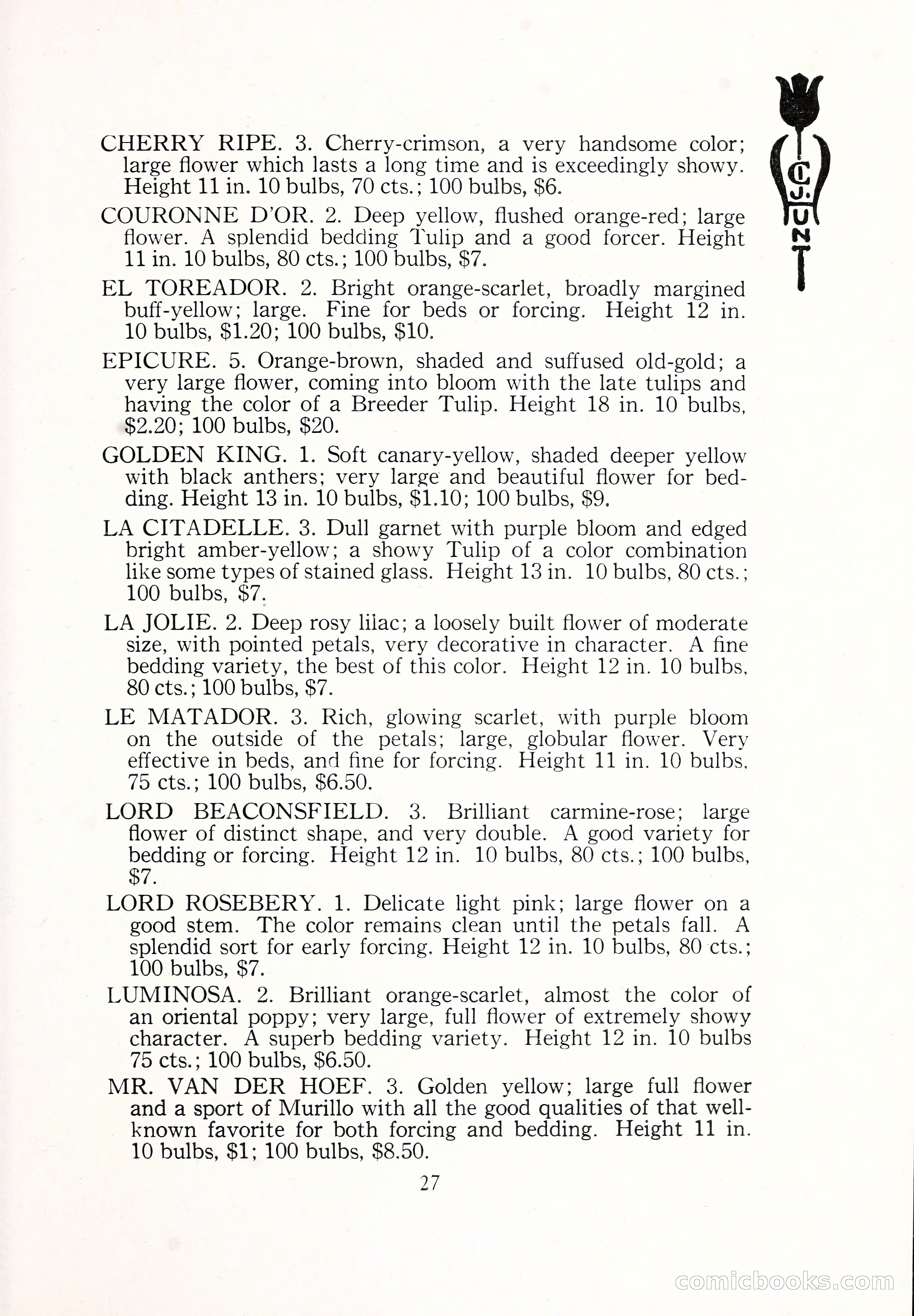 Blue Book of Bulbs, 1929 — page 40 of 125