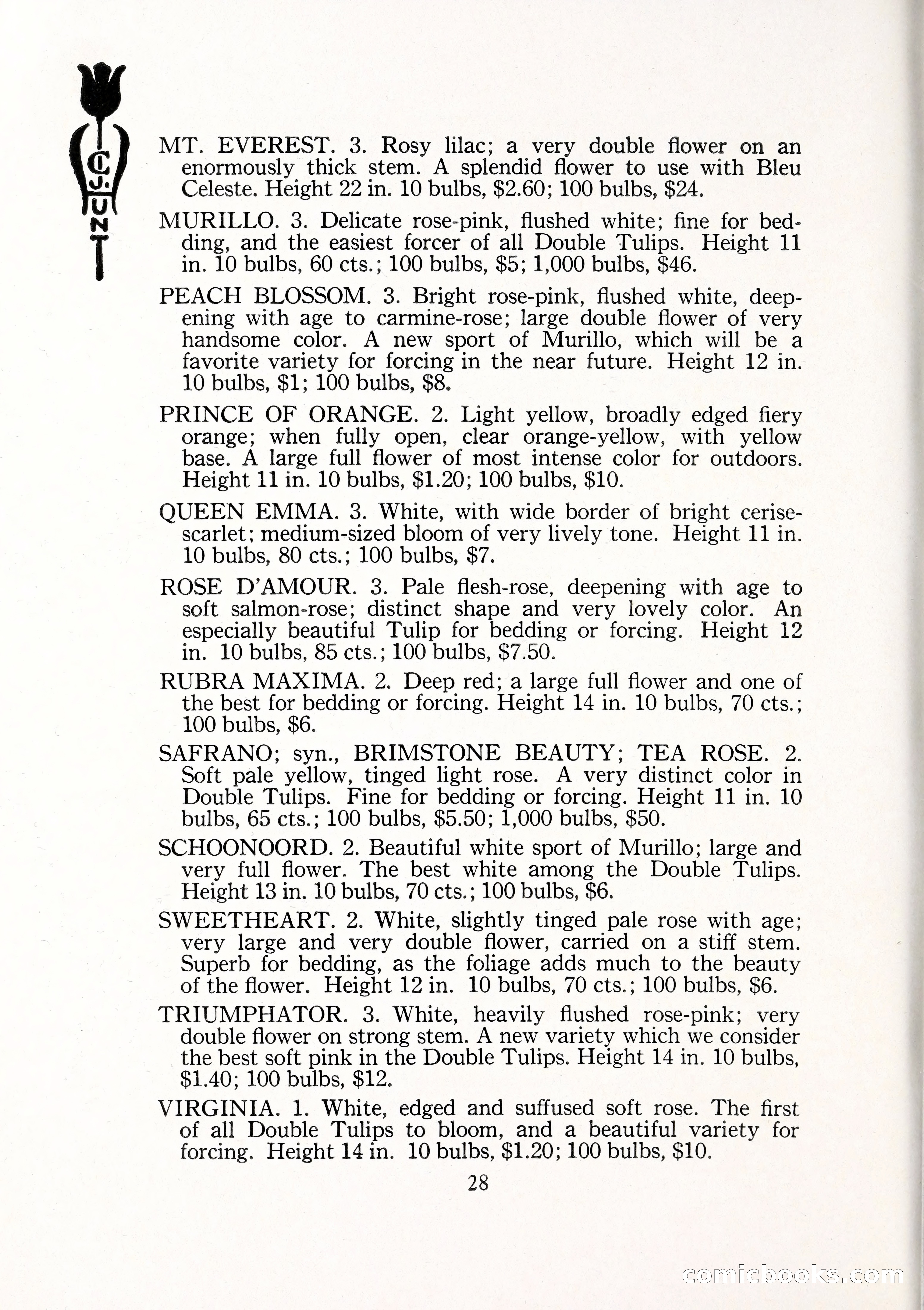 Blue Book of Bulbs, 1929 — page 41 of 125