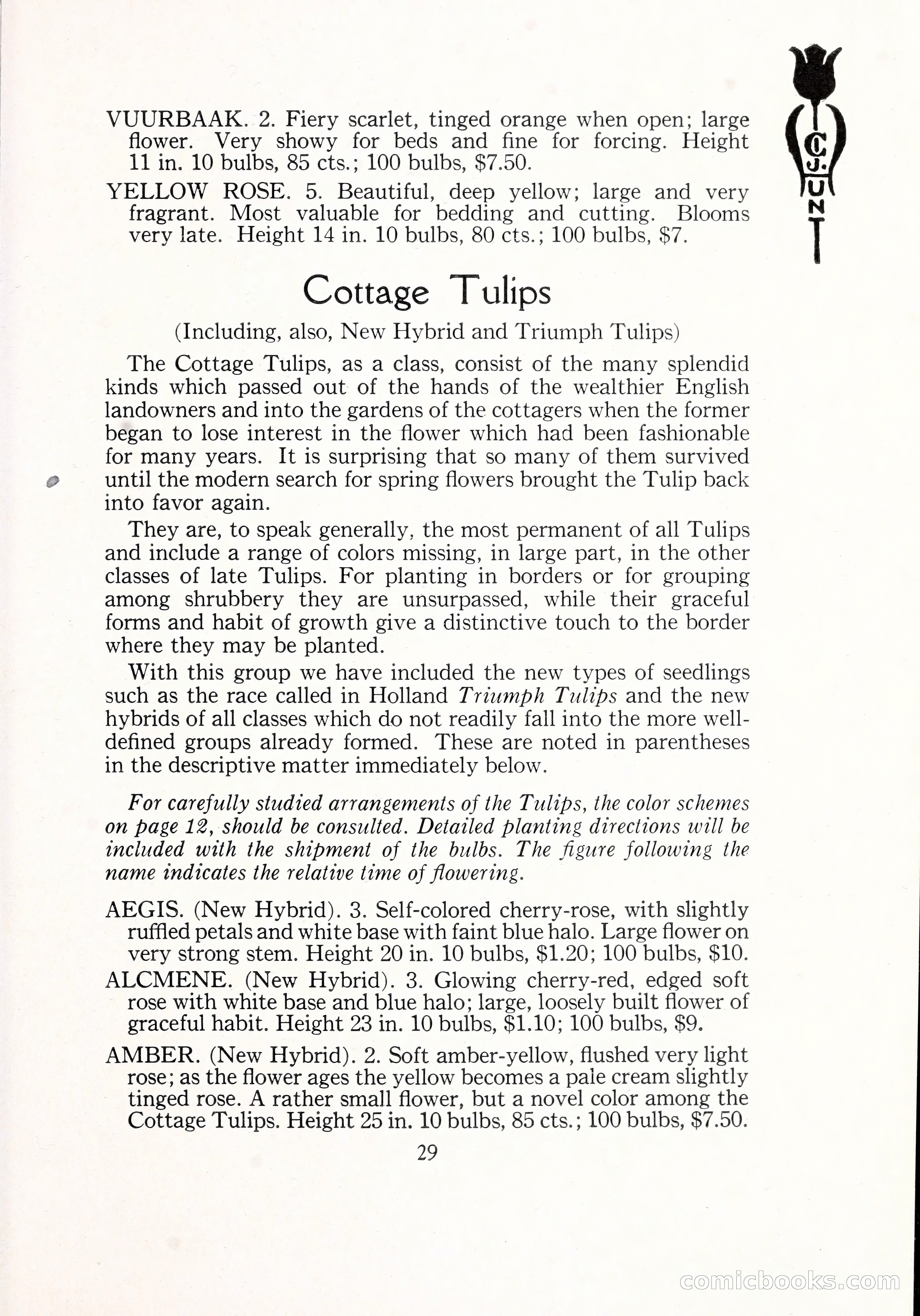 Blue Book of Bulbs, 1929 — page 42 of 125