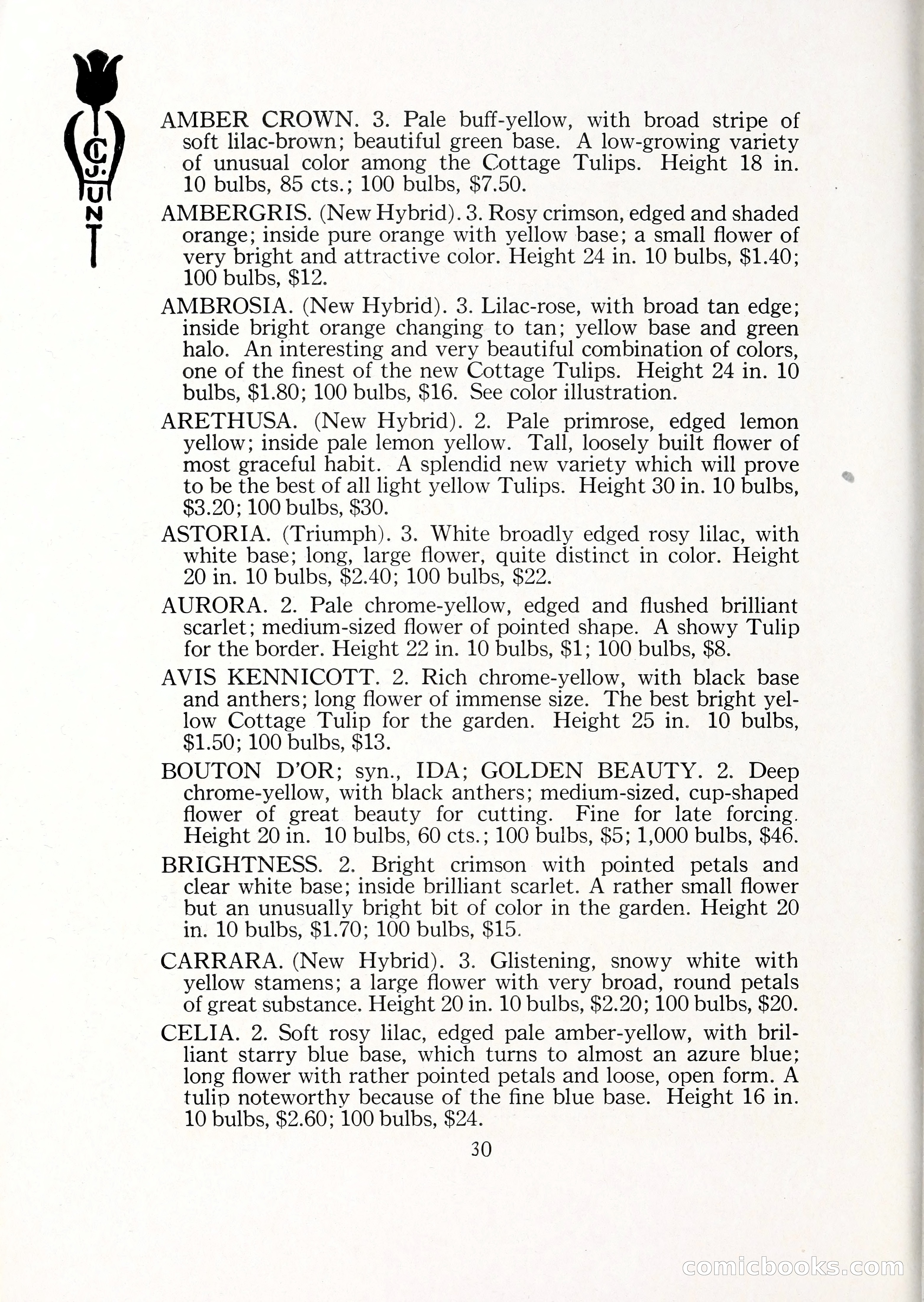Blue Book of Bulbs, 1929 — page 43 of 125