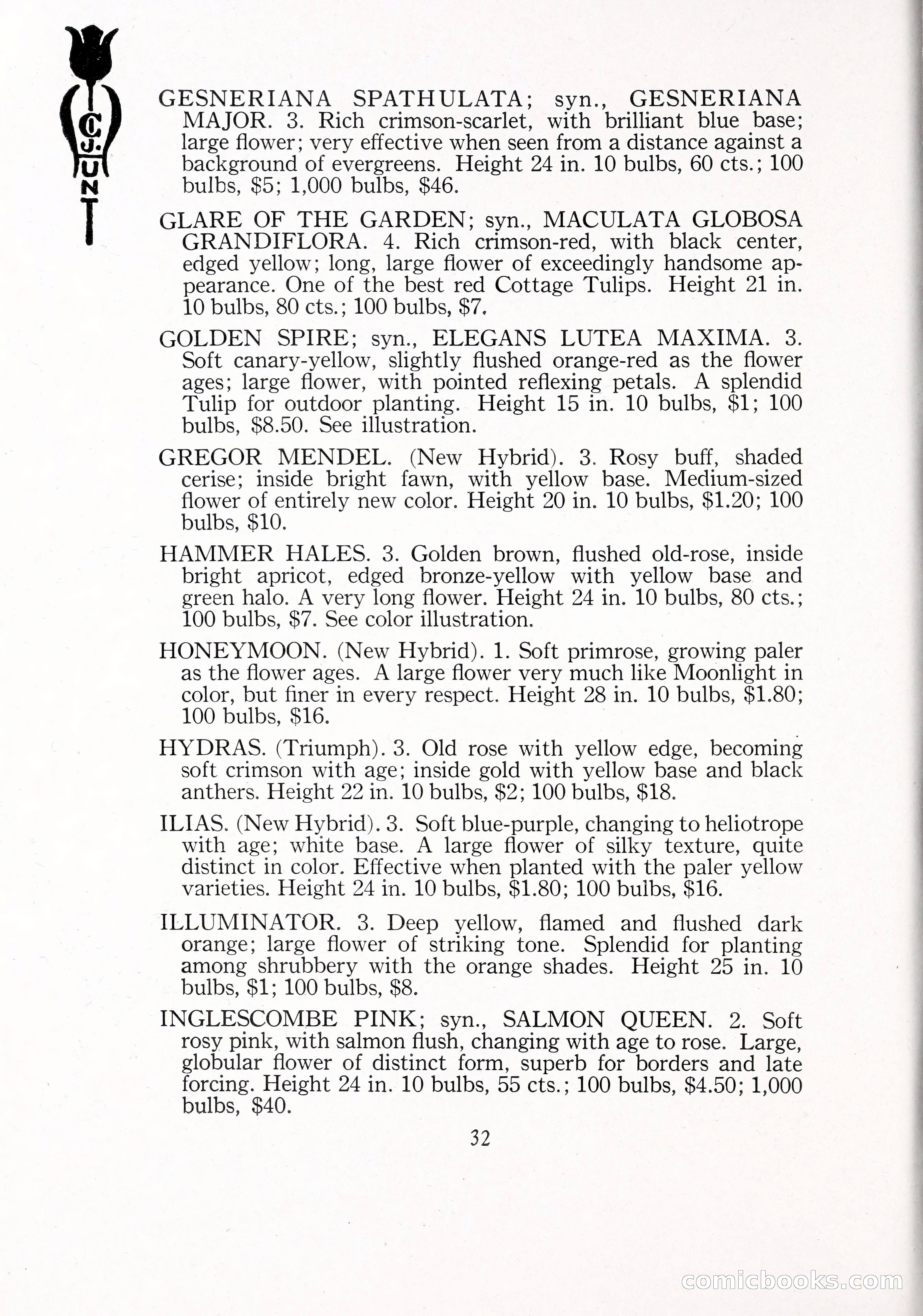 Blue Book of Bulbs, 1929 — page 47 of 125