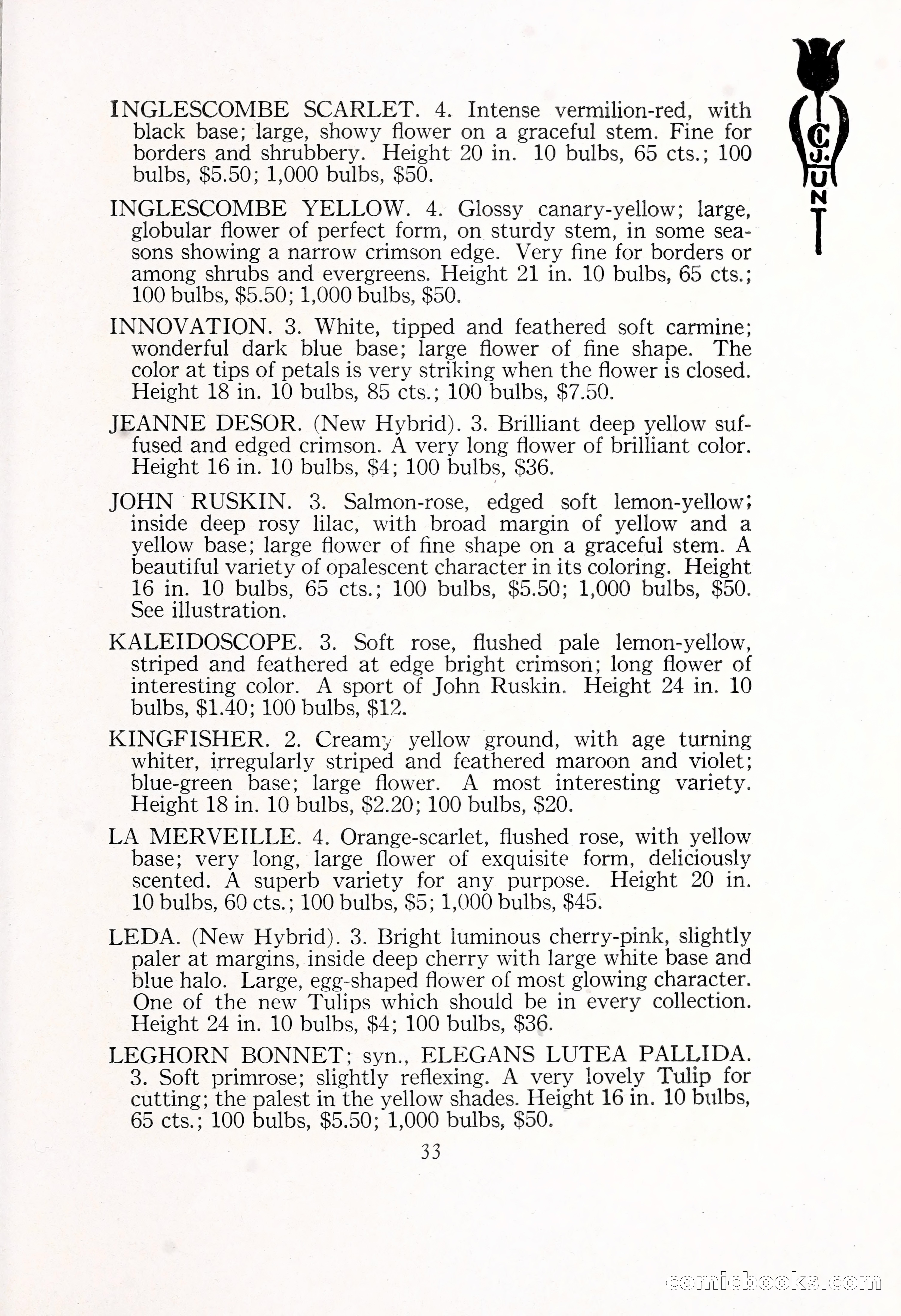 Blue Book of Bulbs, 1929 — page 50 of 125