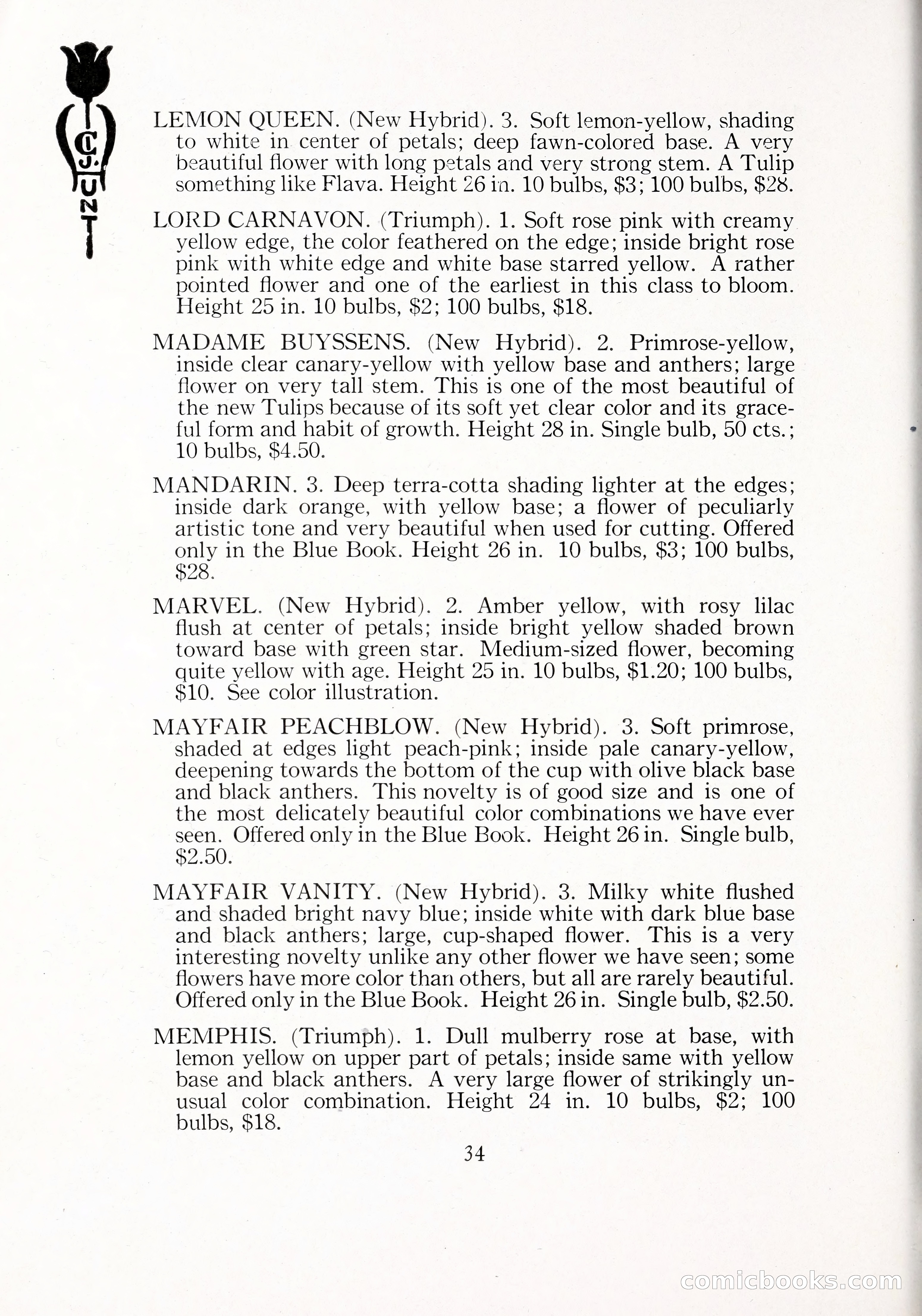 Blue Book of Bulbs, 1929 — page 51 of 125